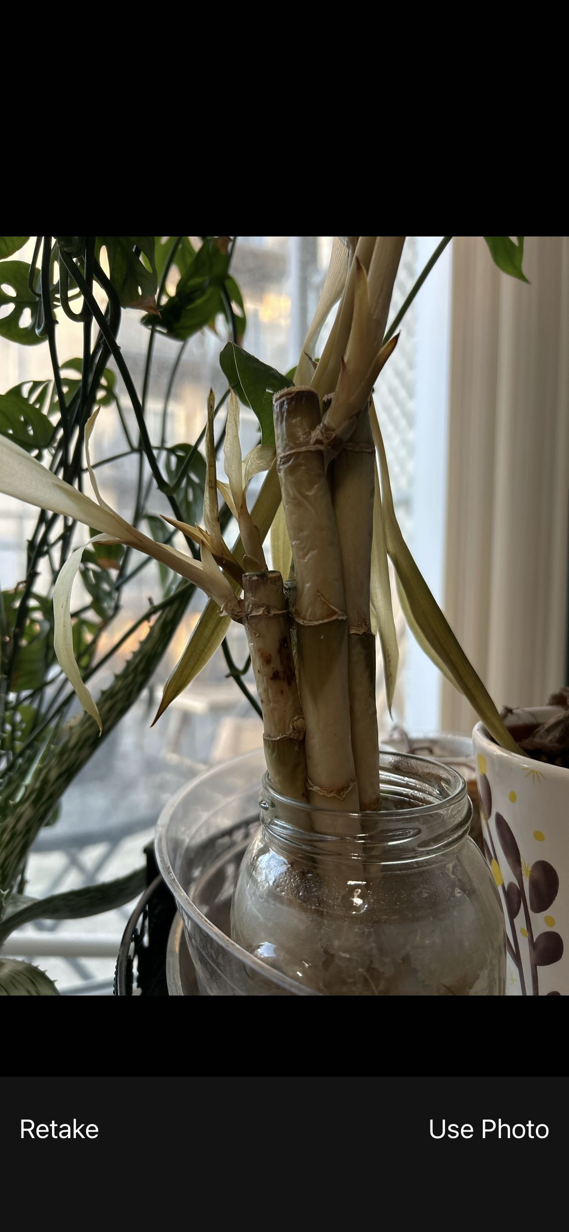 Photo from the post