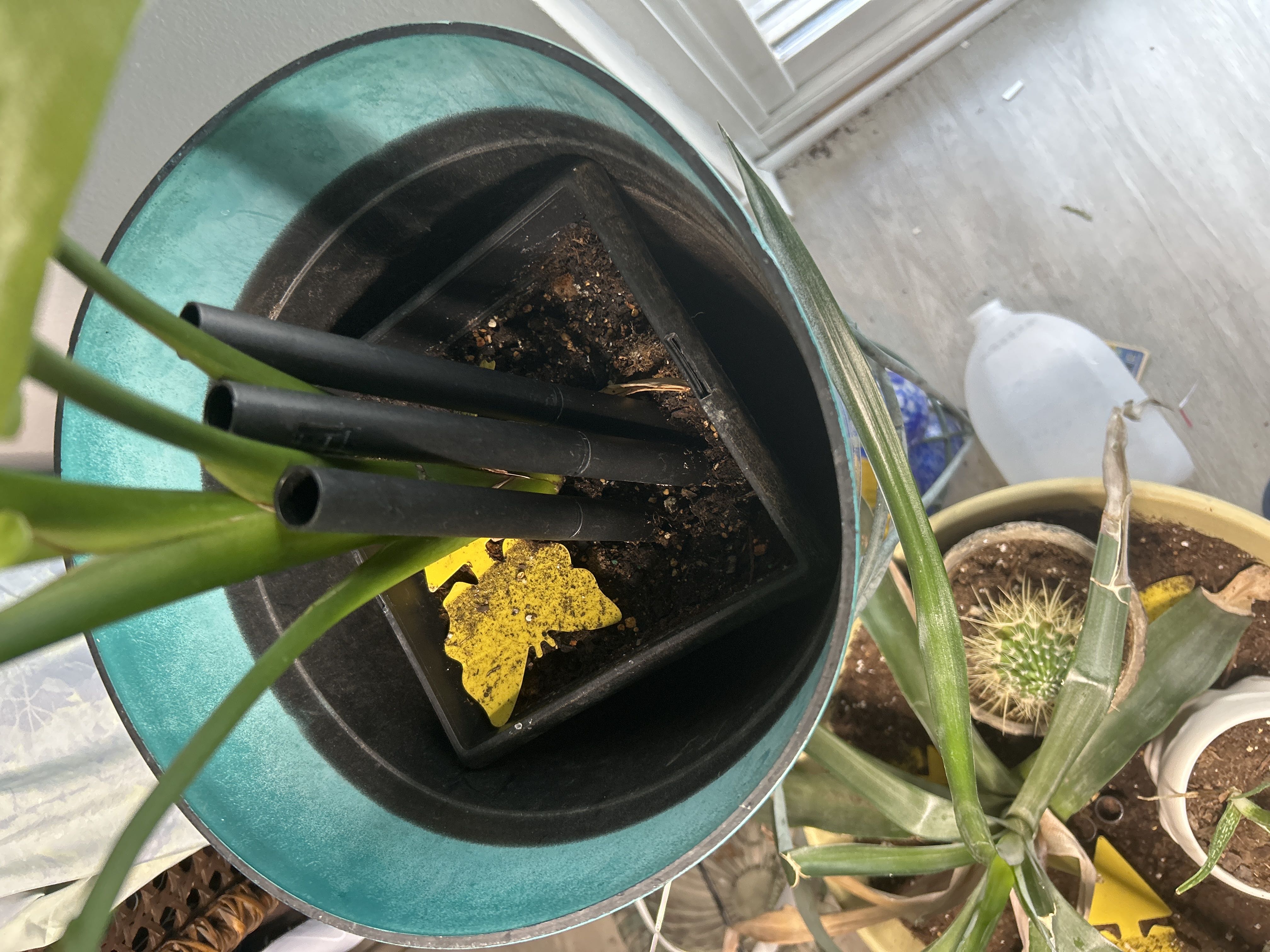 Photo from the post
