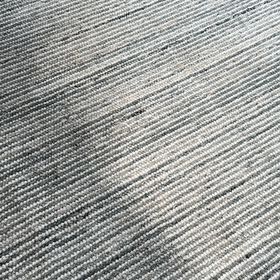 Photo of the plant species Perovskia atriplicifolia by @DollKolanuttree named Surya on Greg, the plant care app