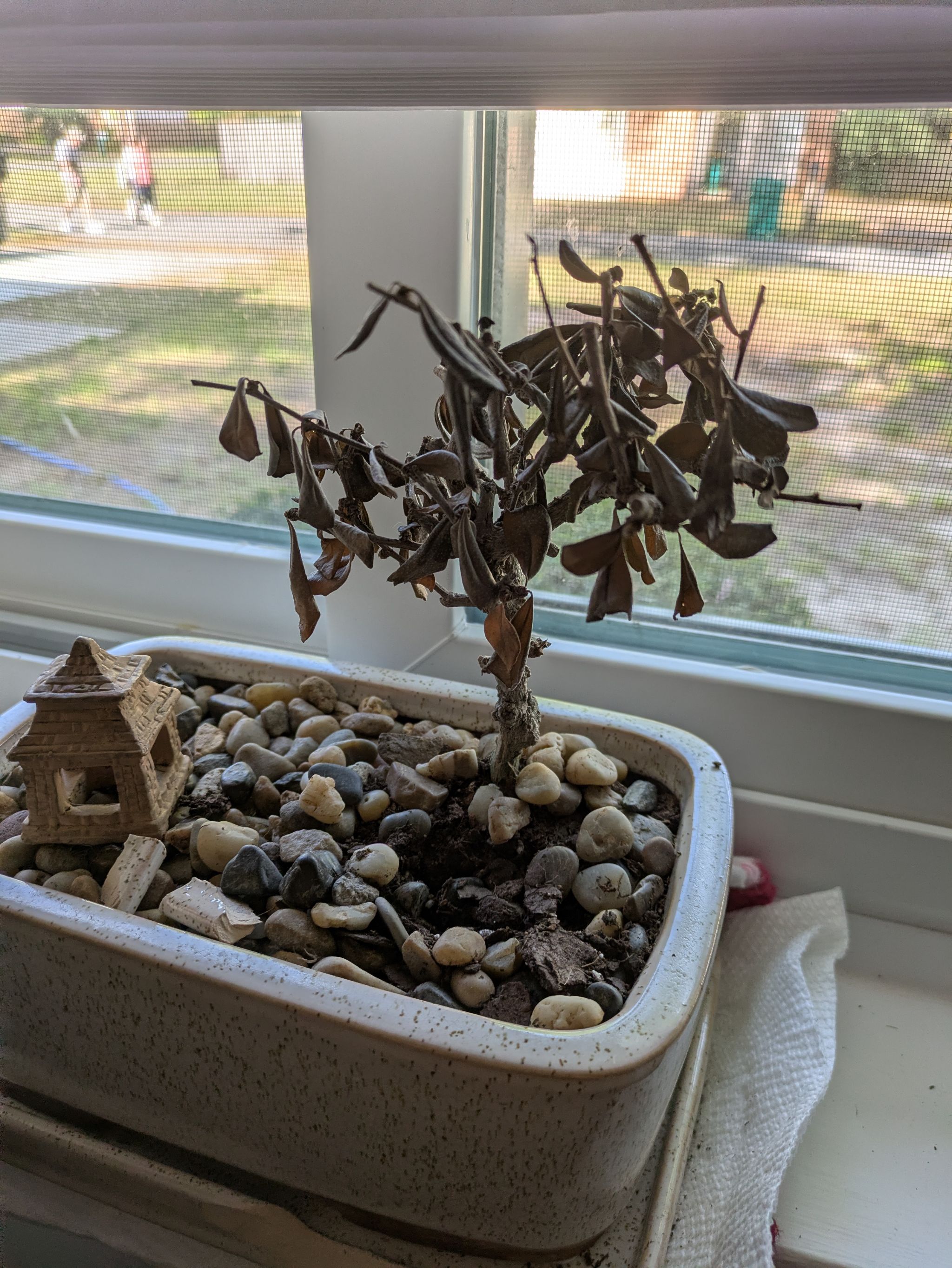 Photo from the post