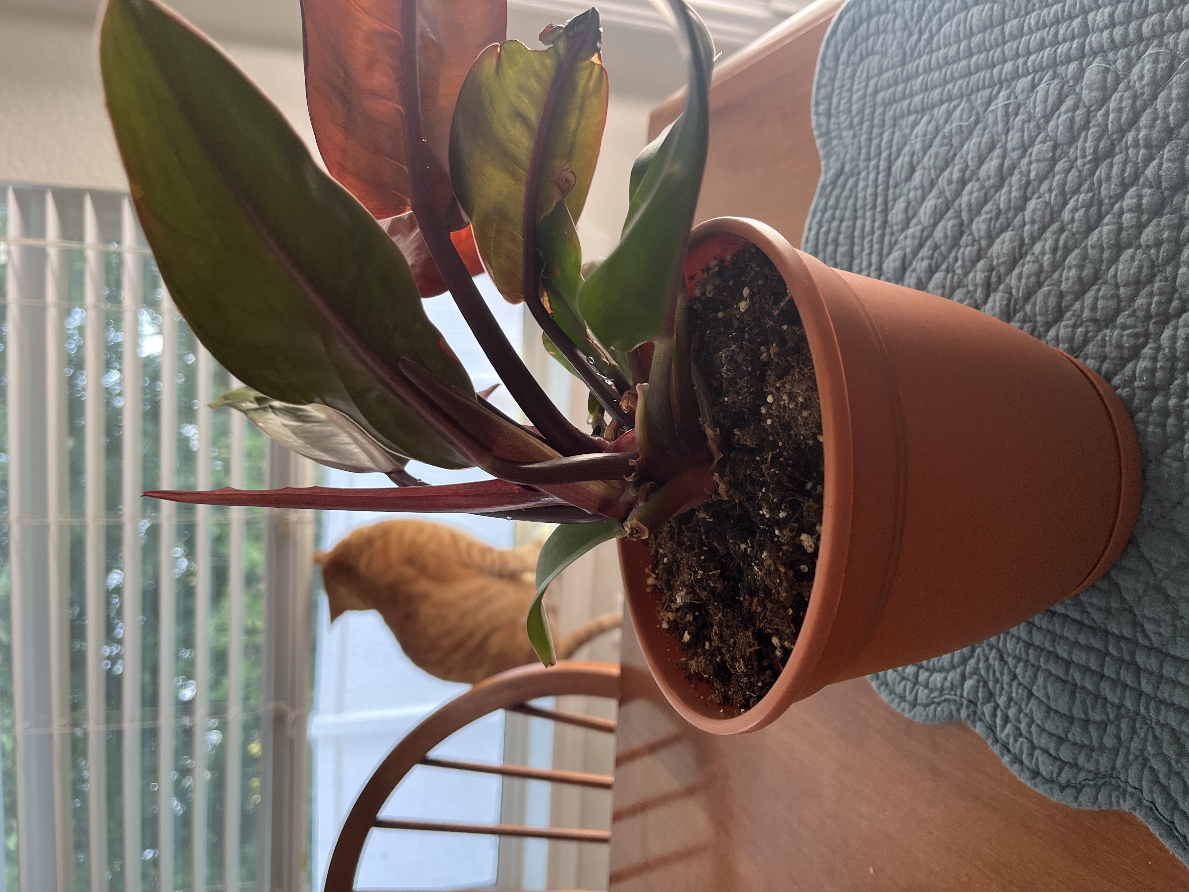 Photo from the post