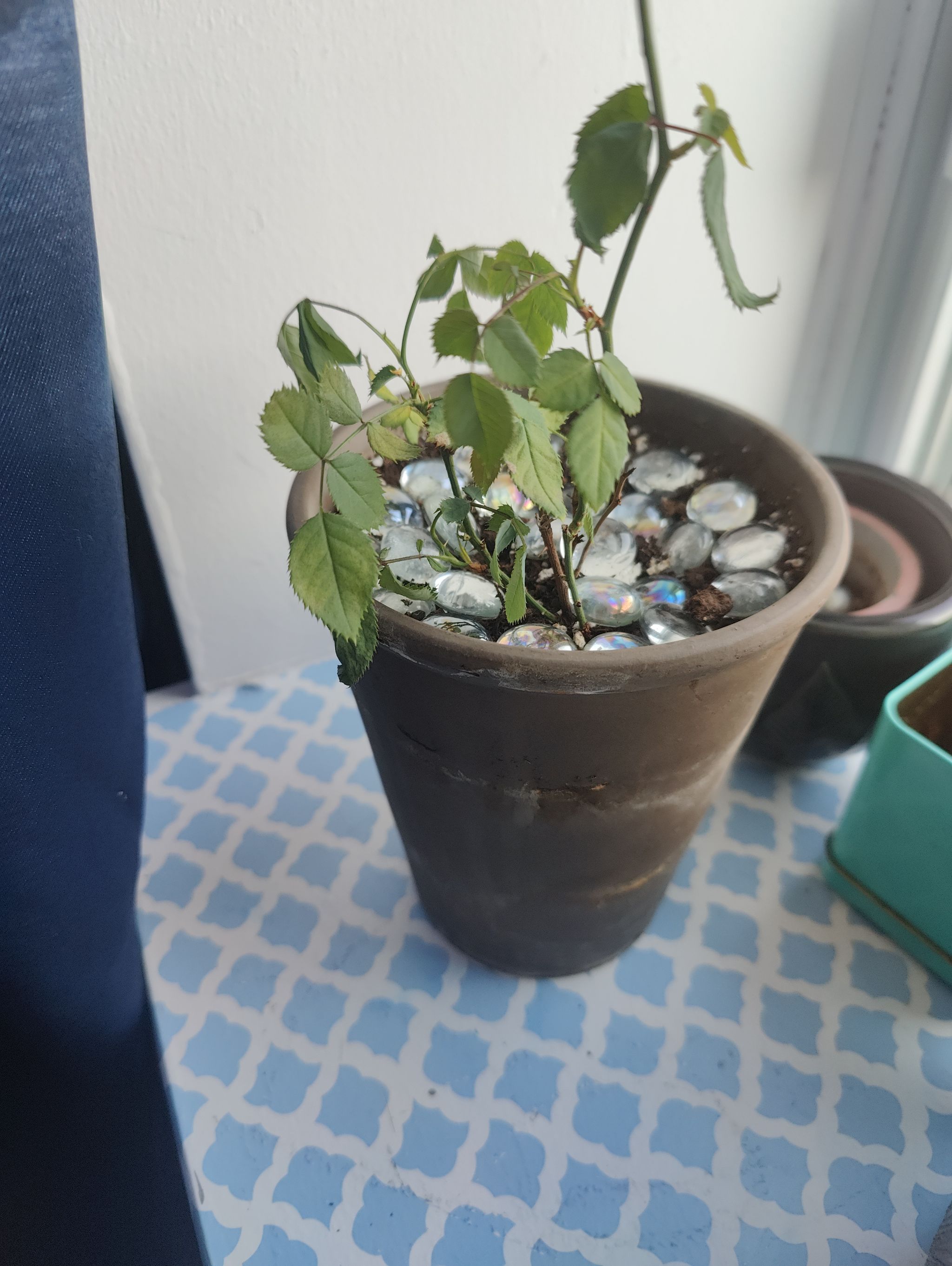 Photo from the post