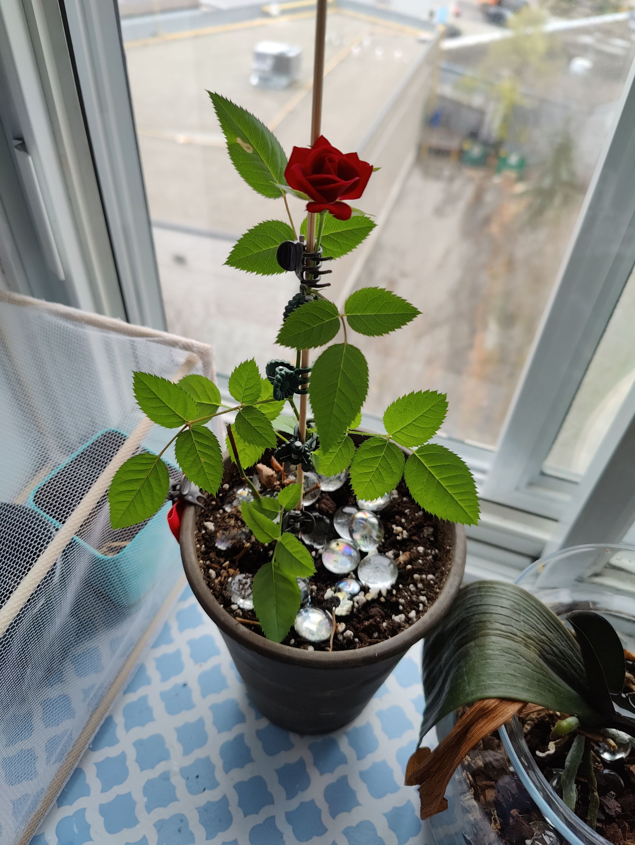Photo from the post
