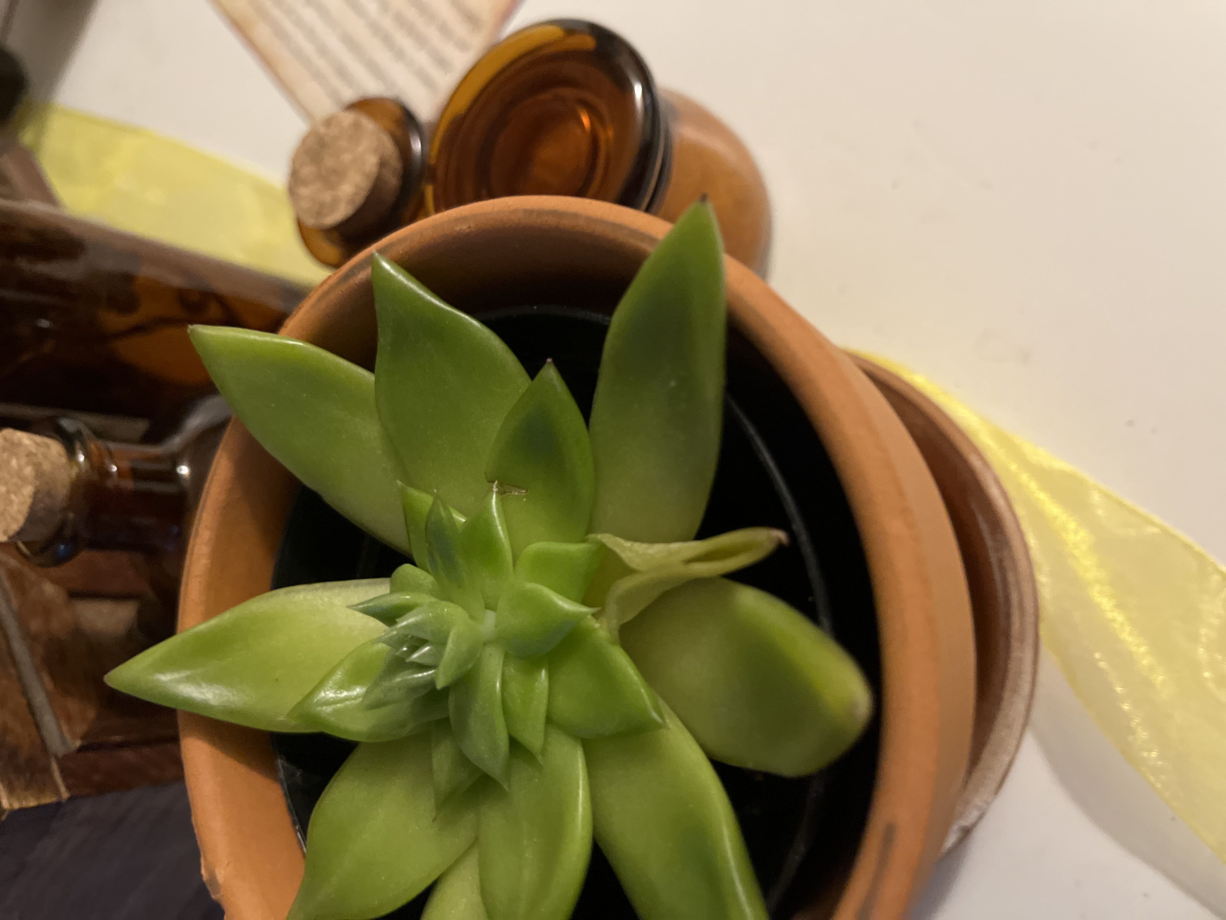 Photo from the post