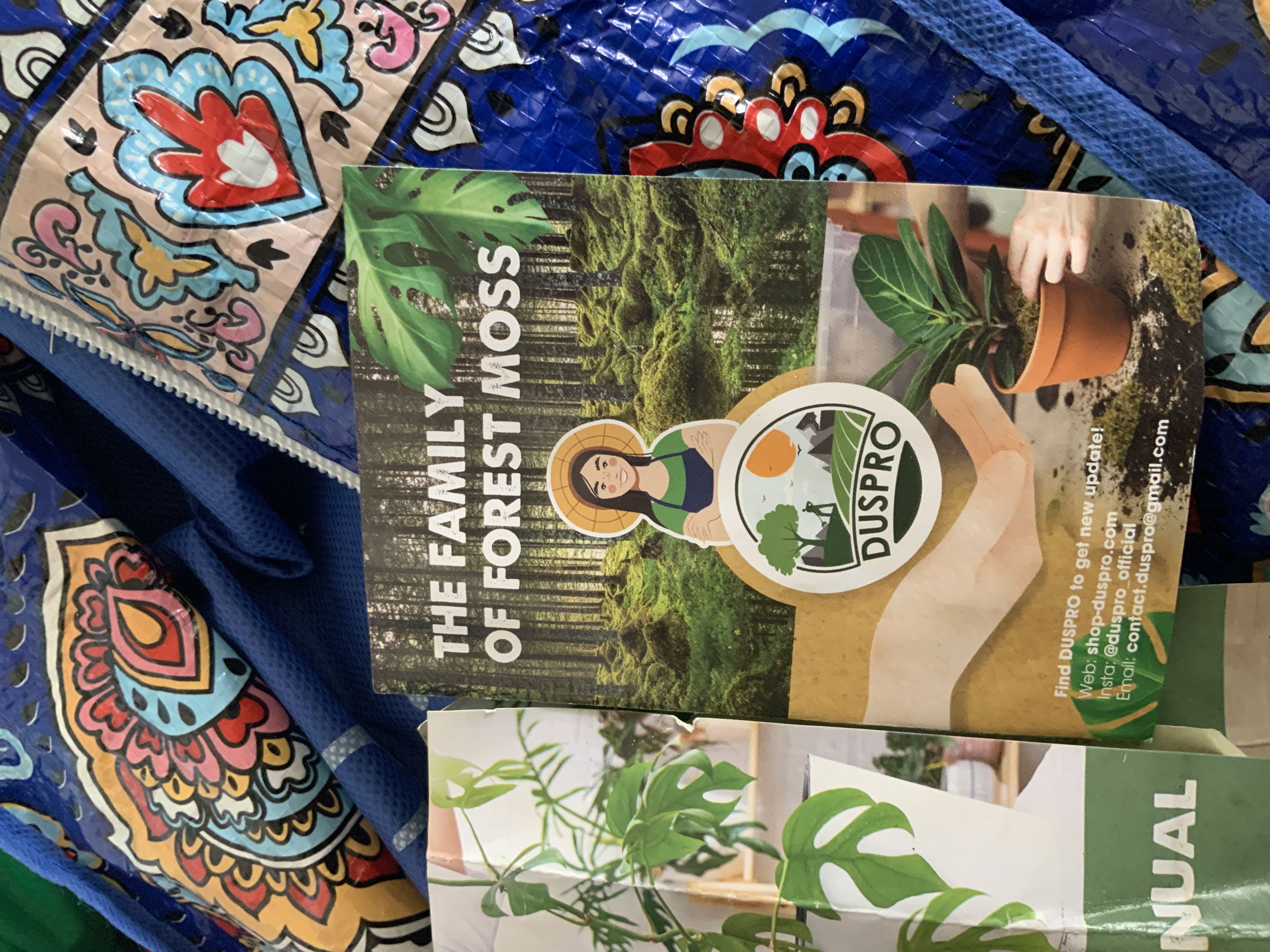 Photo from the post