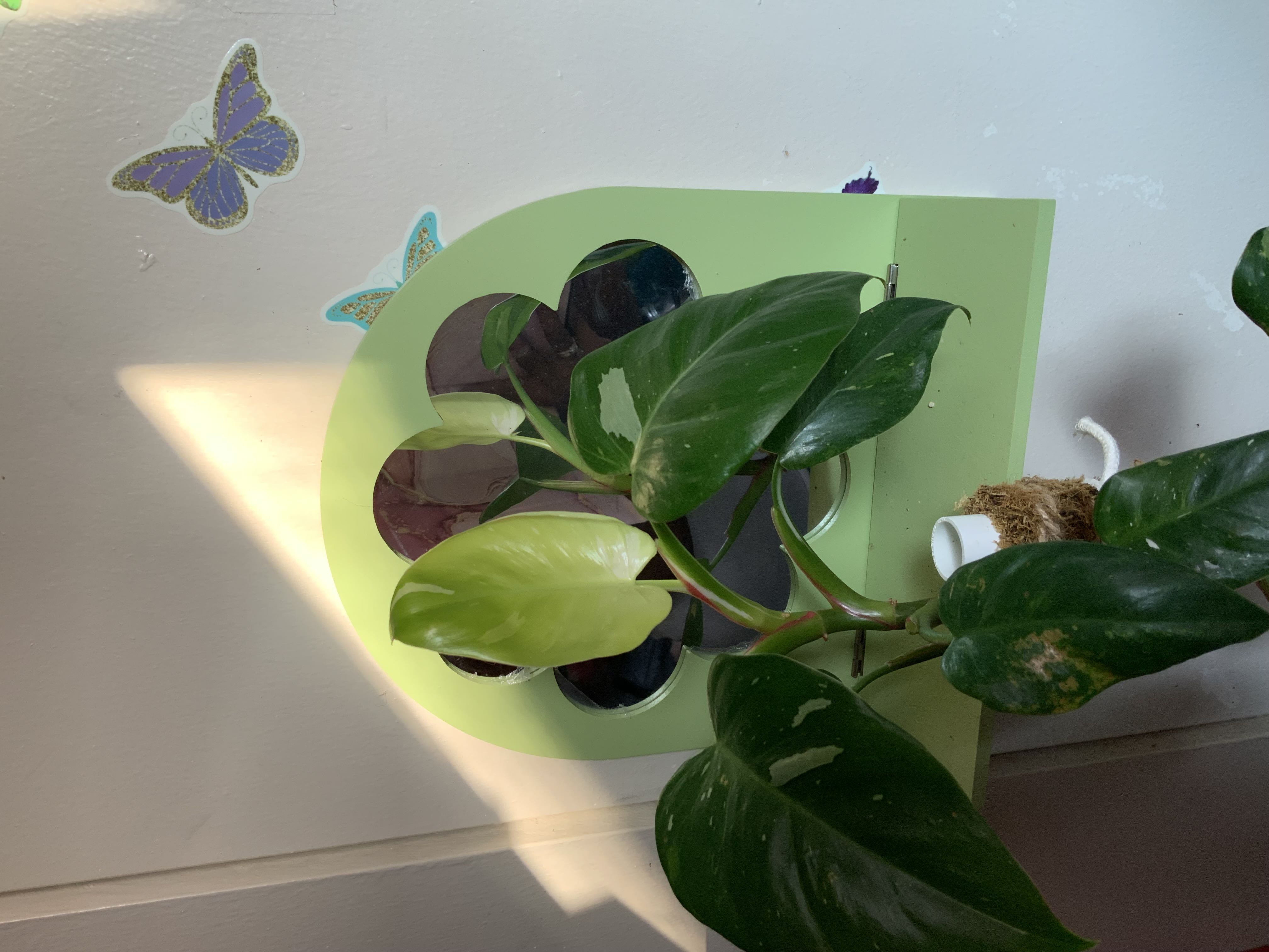 Photo from the post