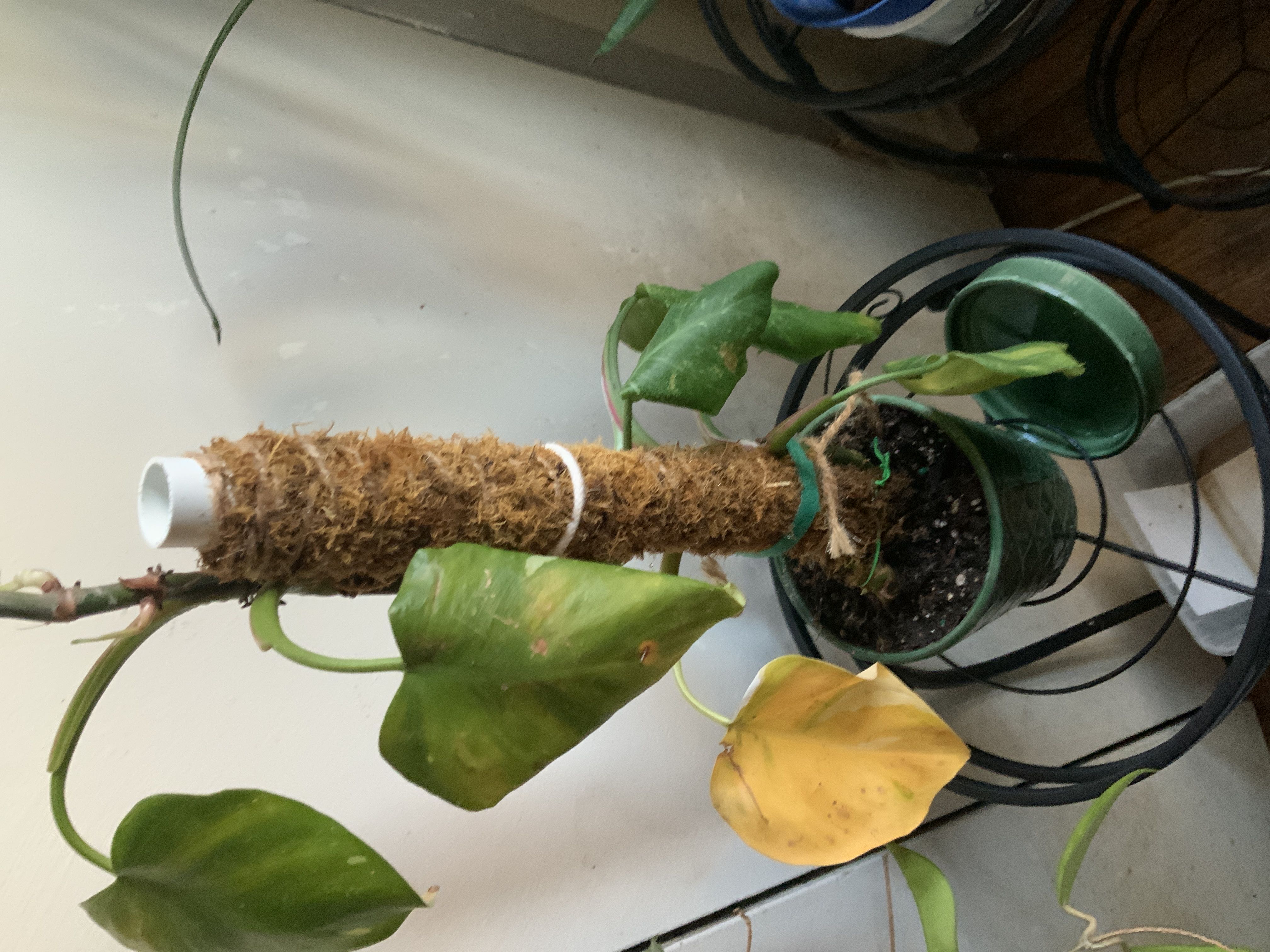 Photo from the post