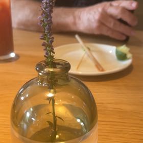 Photo of the plant species American Pondweed by @HeroicBaneberry named Khaleesi on Greg, the plant care app