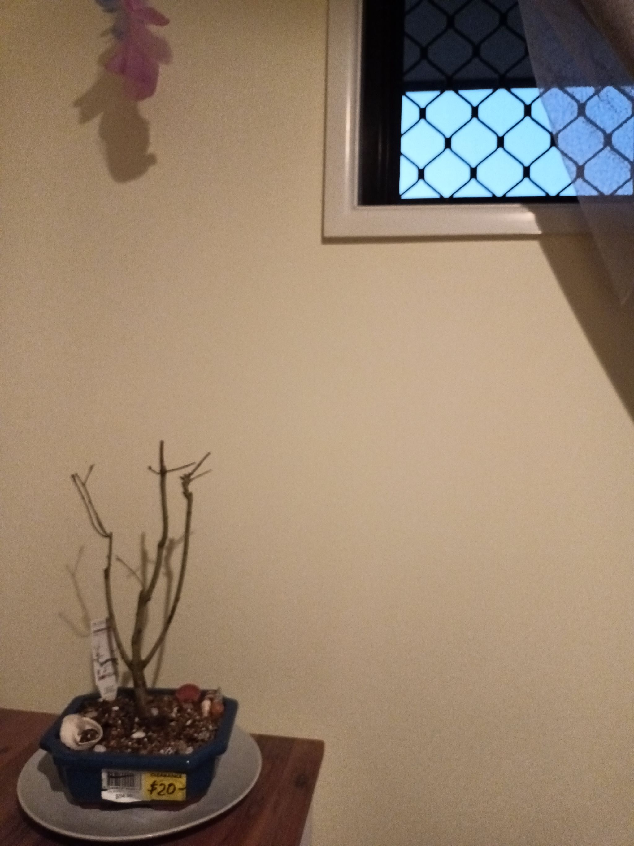 Photo from the post