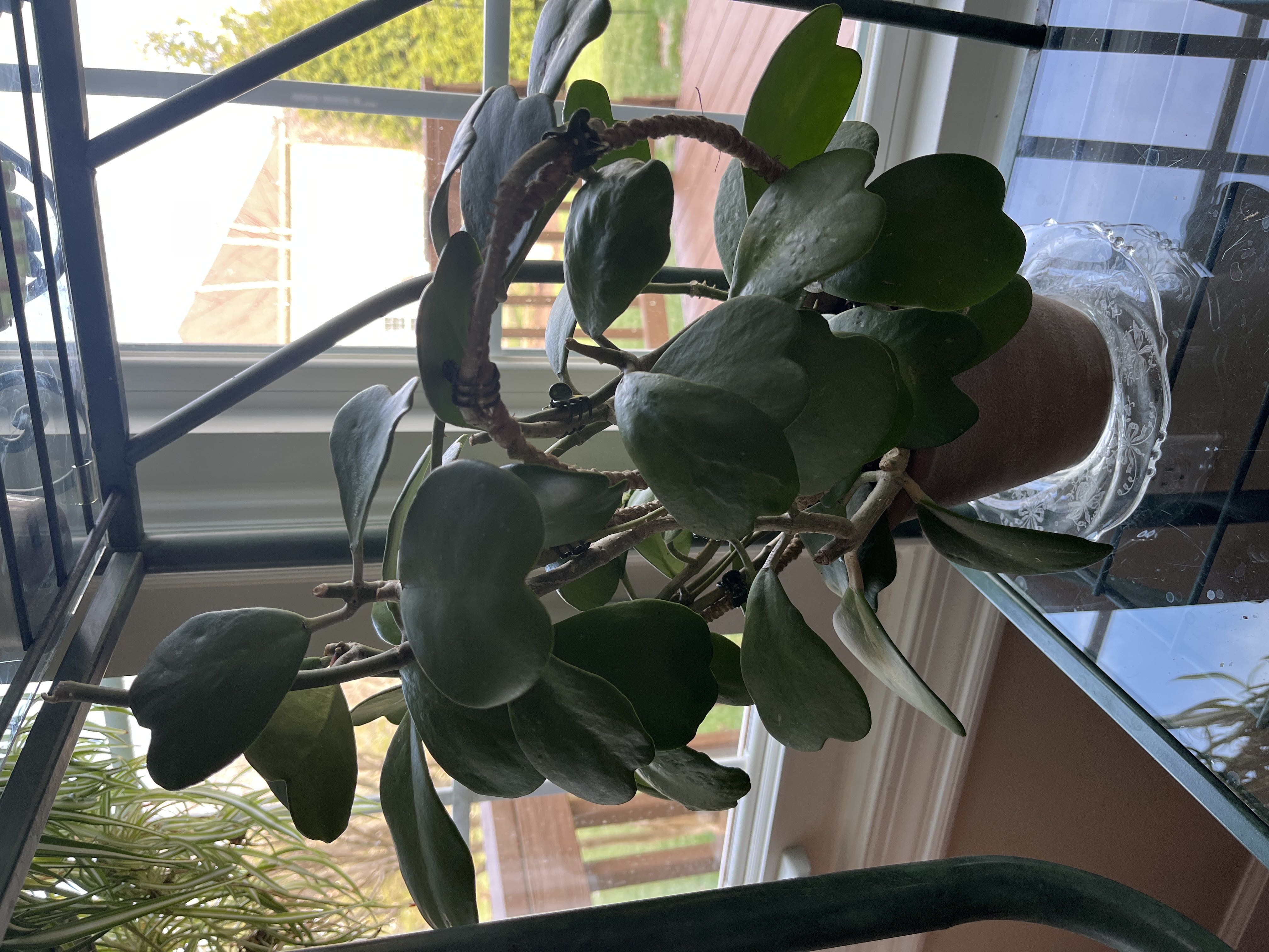 Photo from the post