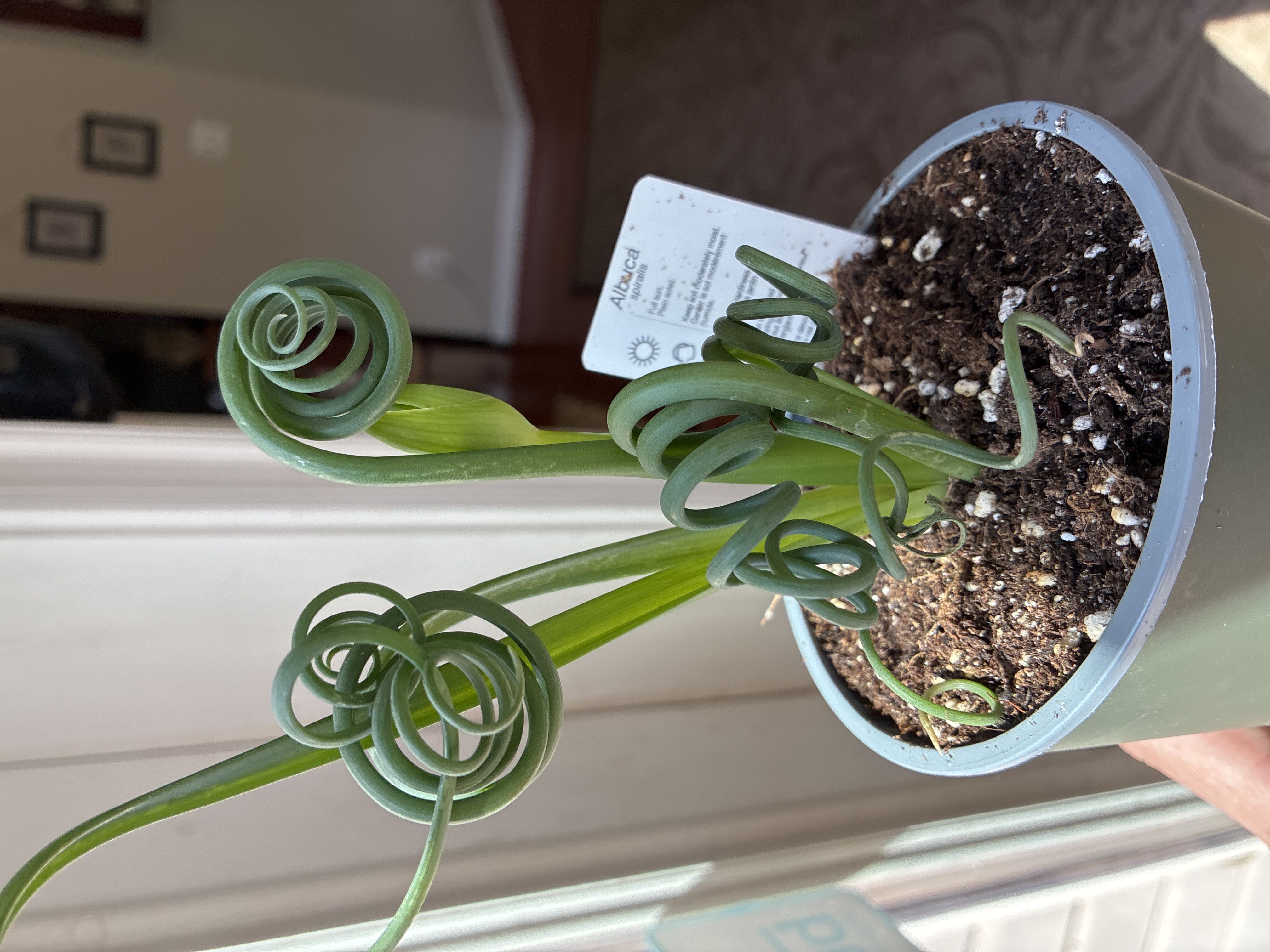 Photo from the post