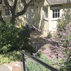 Photo of the plant species Giant Crepe Myrtle by @StarryDatepalm named Rihanna on Greg, the plant care app