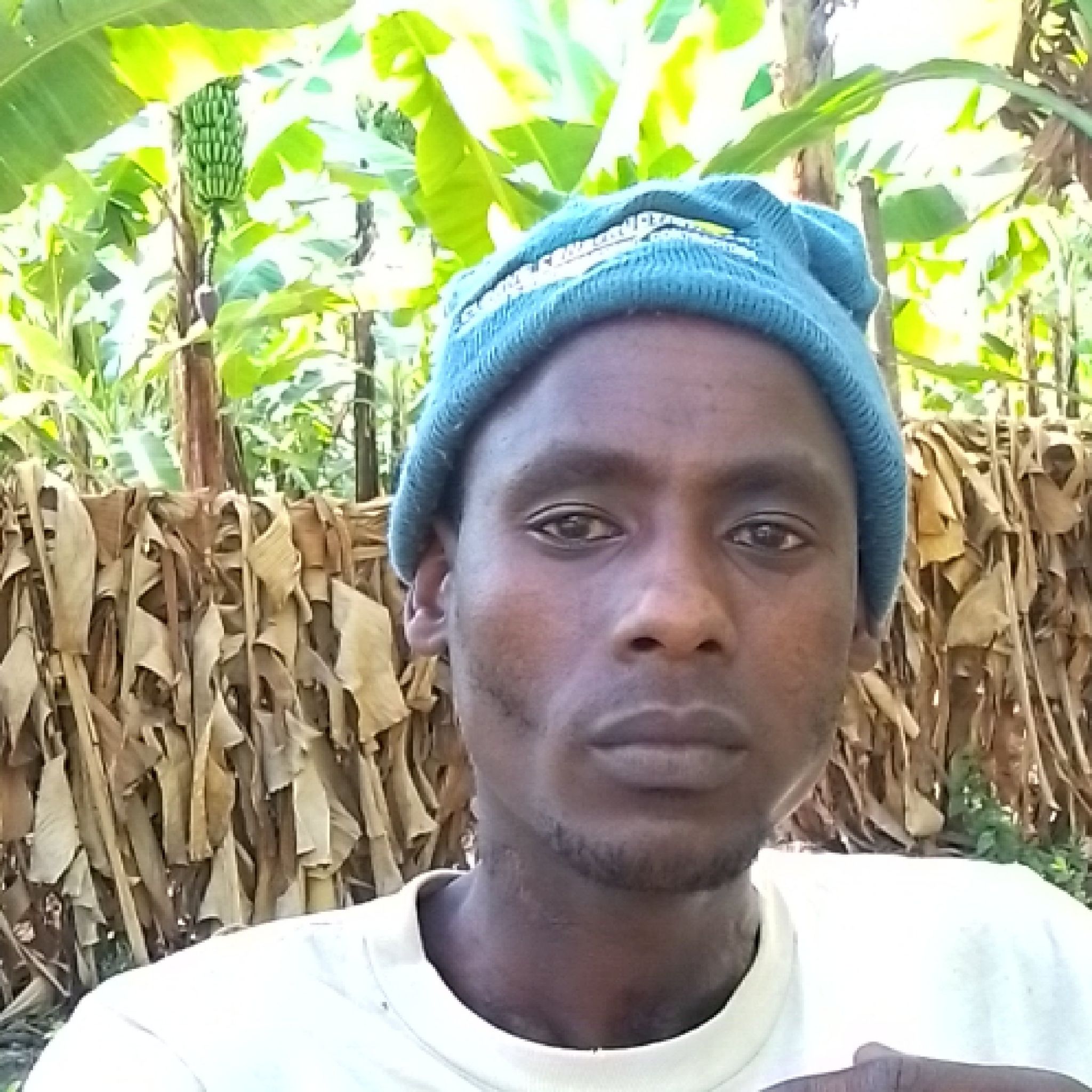 Photo of the plant species Beehive Ginger by @ZarfWatercress named Apollo on Greg, the plant care app