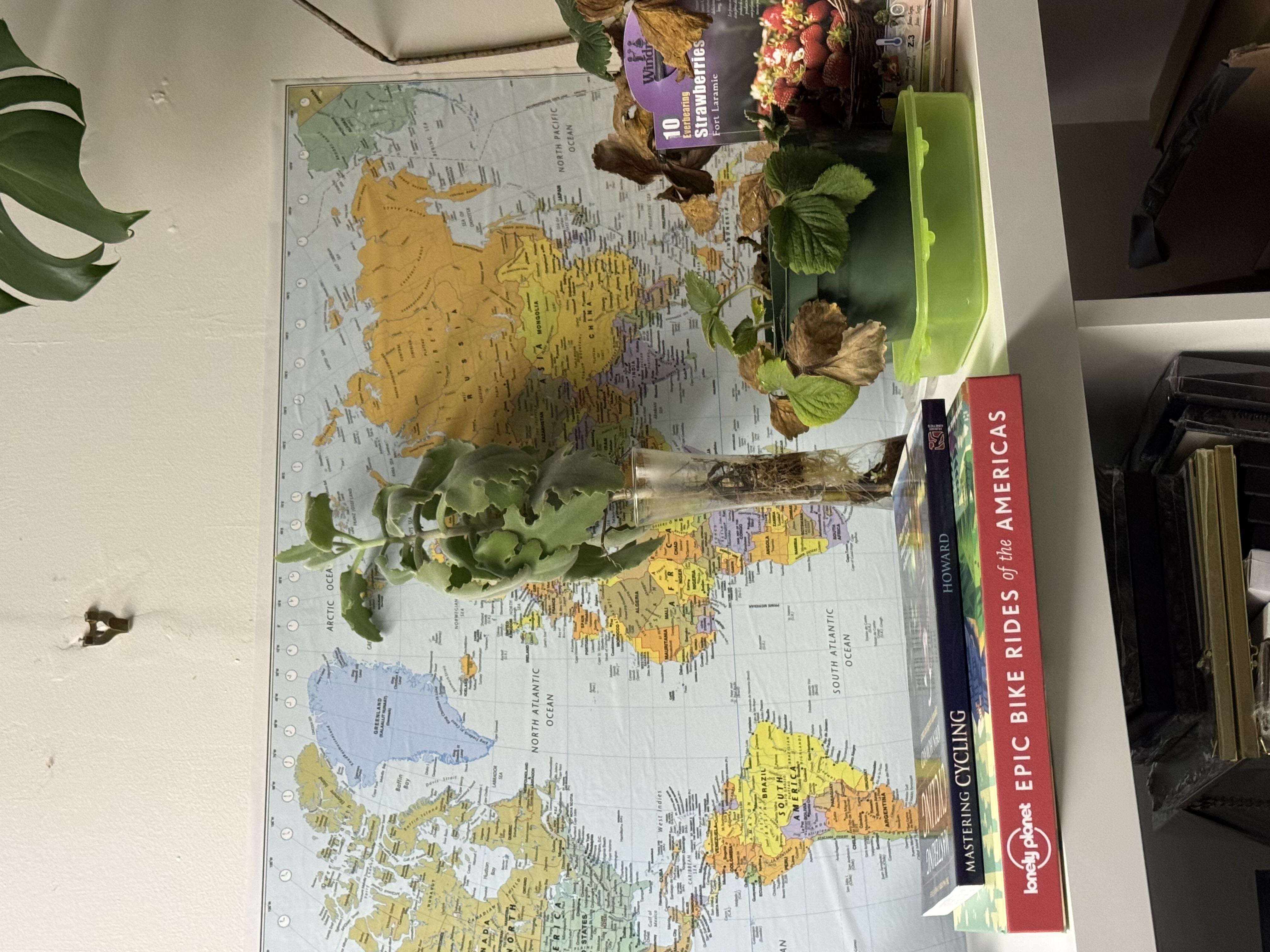 Photo from the post