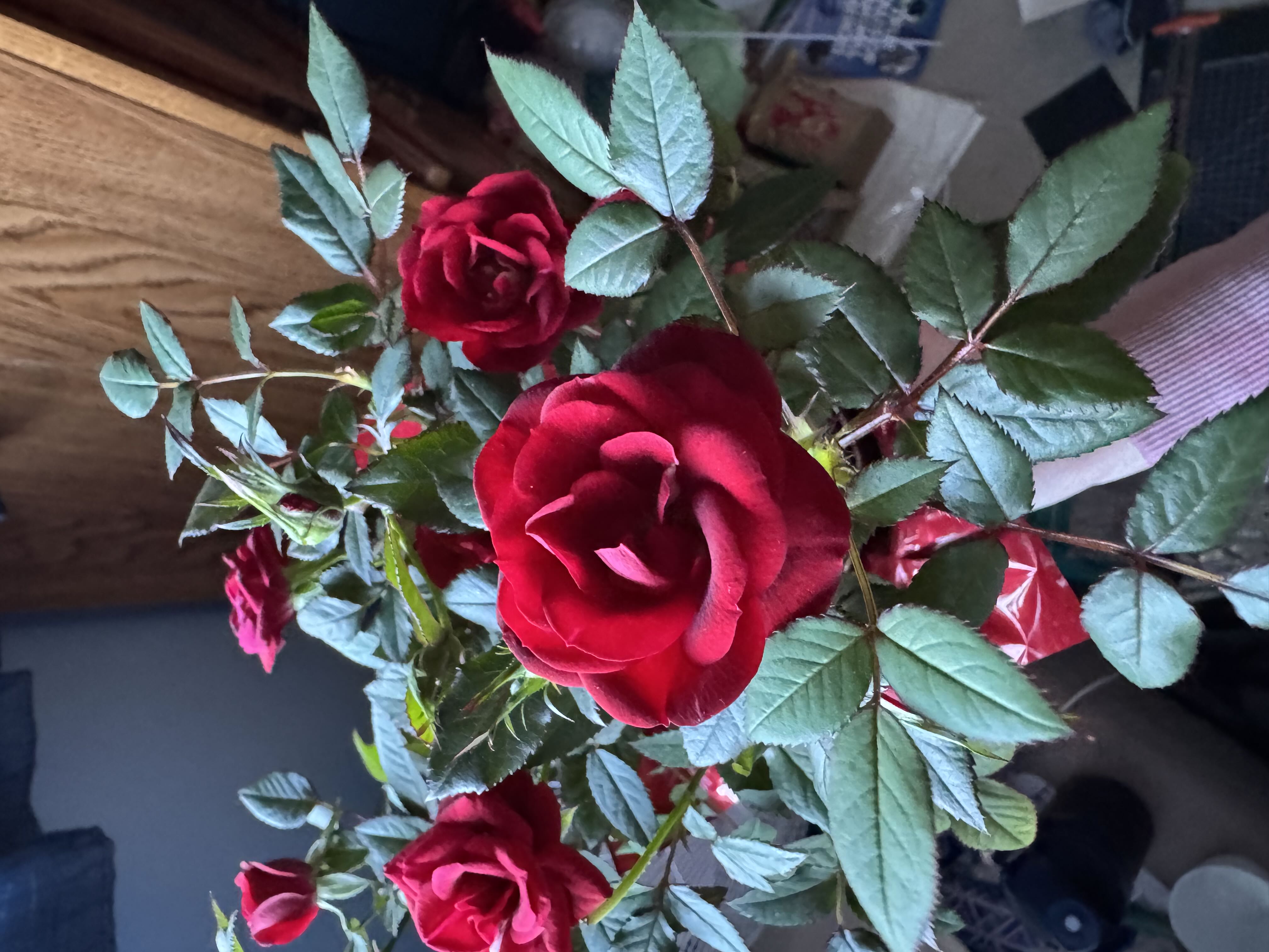Photo from the post