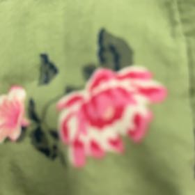 Photo of the plant species Wax Mallow by @PluckyRosebush named Miley on Greg, the plant care app