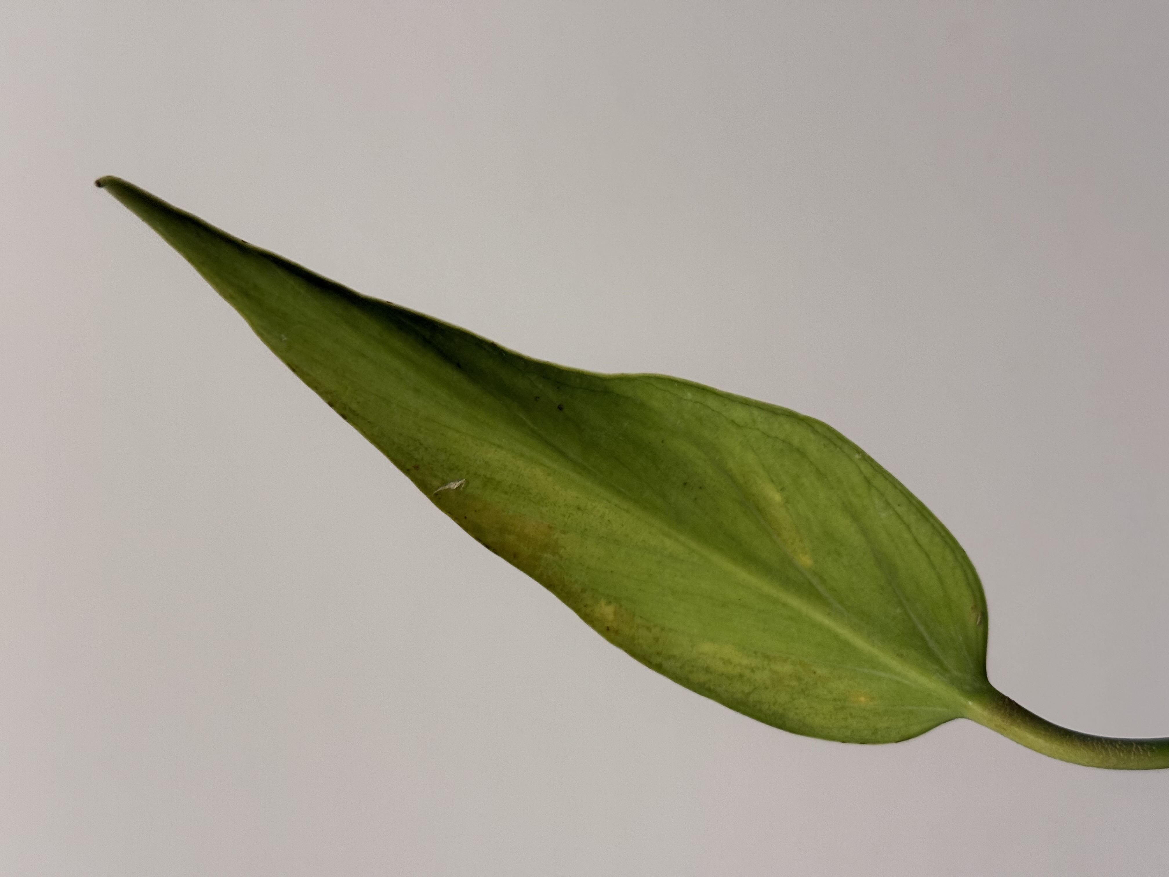 Photo from the post