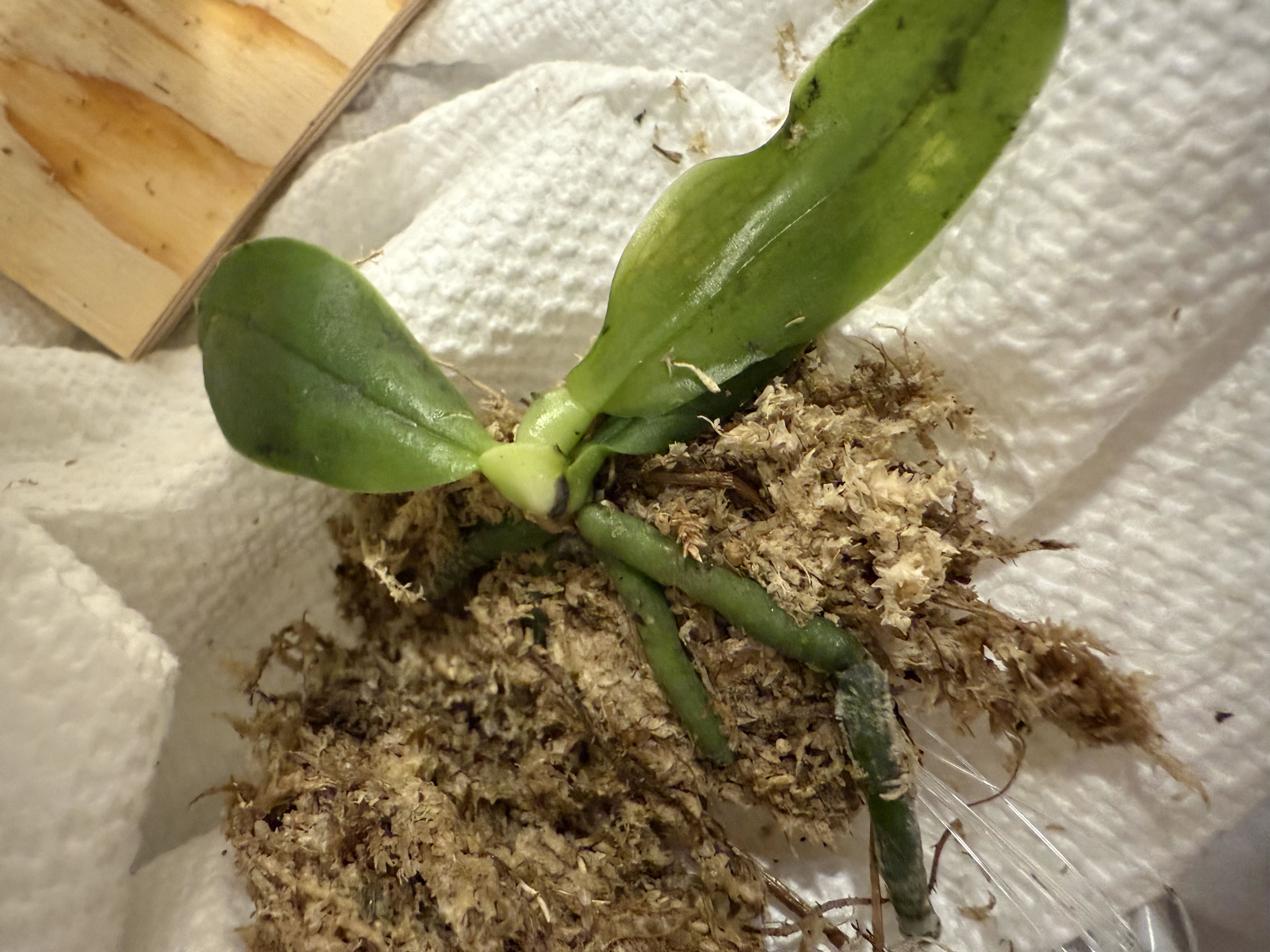 Photo from the post