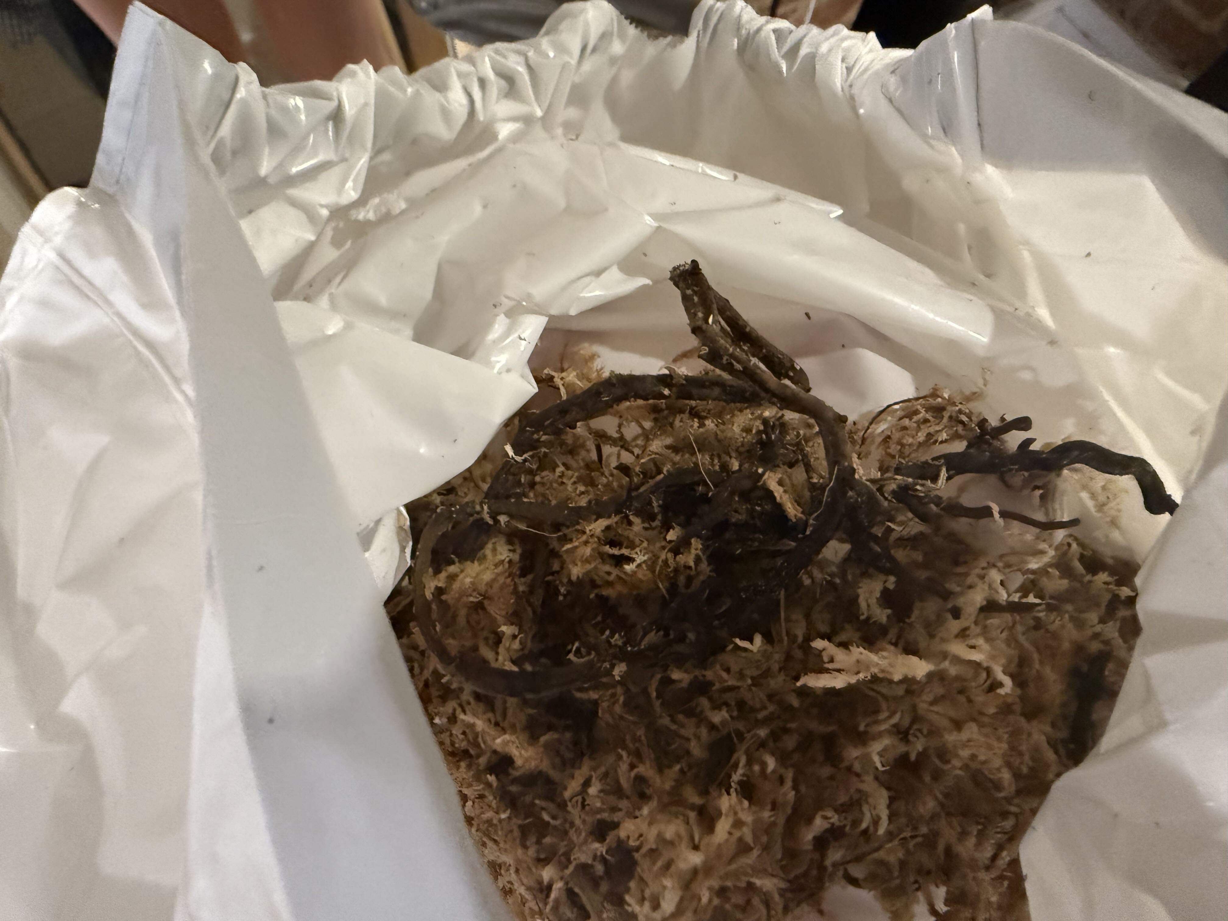 Photo from the post