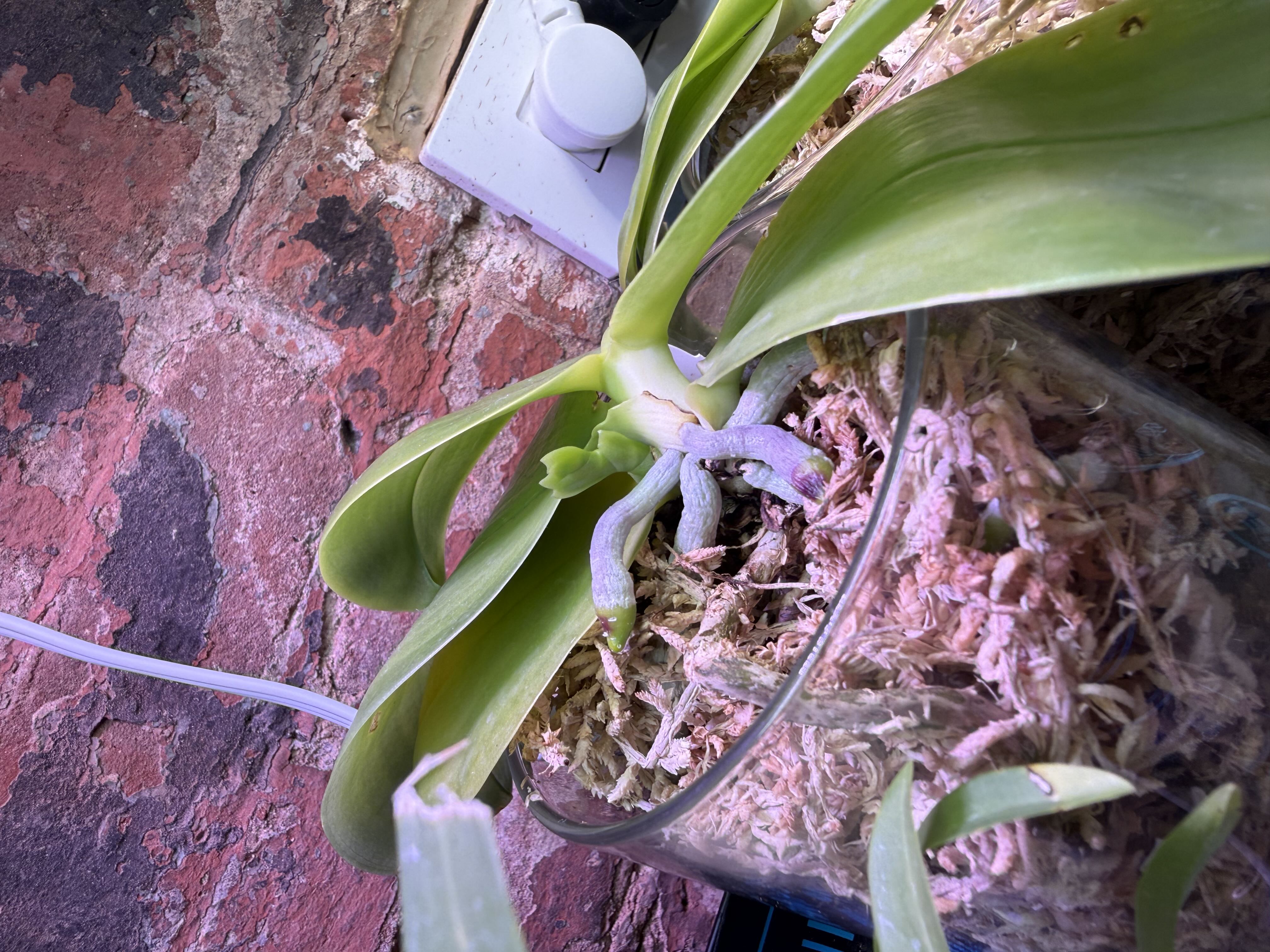 Photo from the post