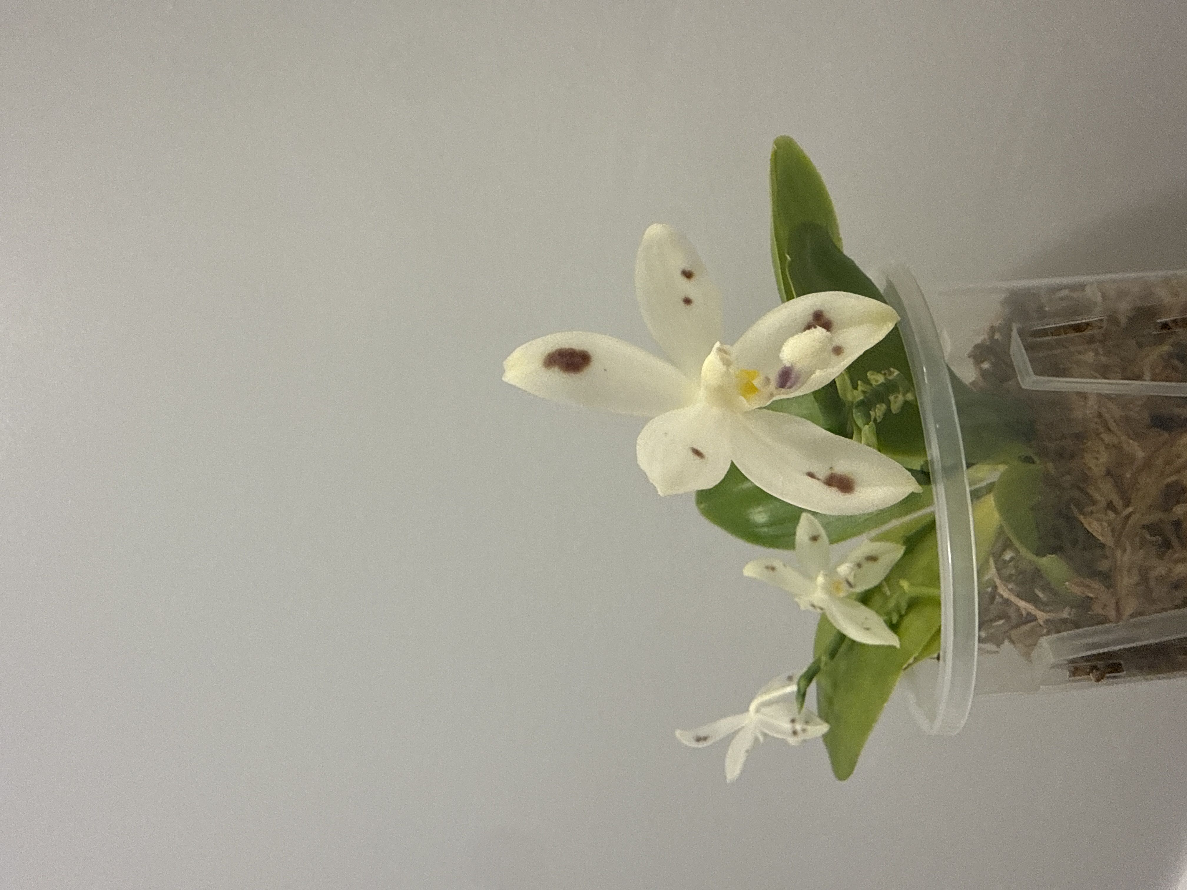 Photo from the post