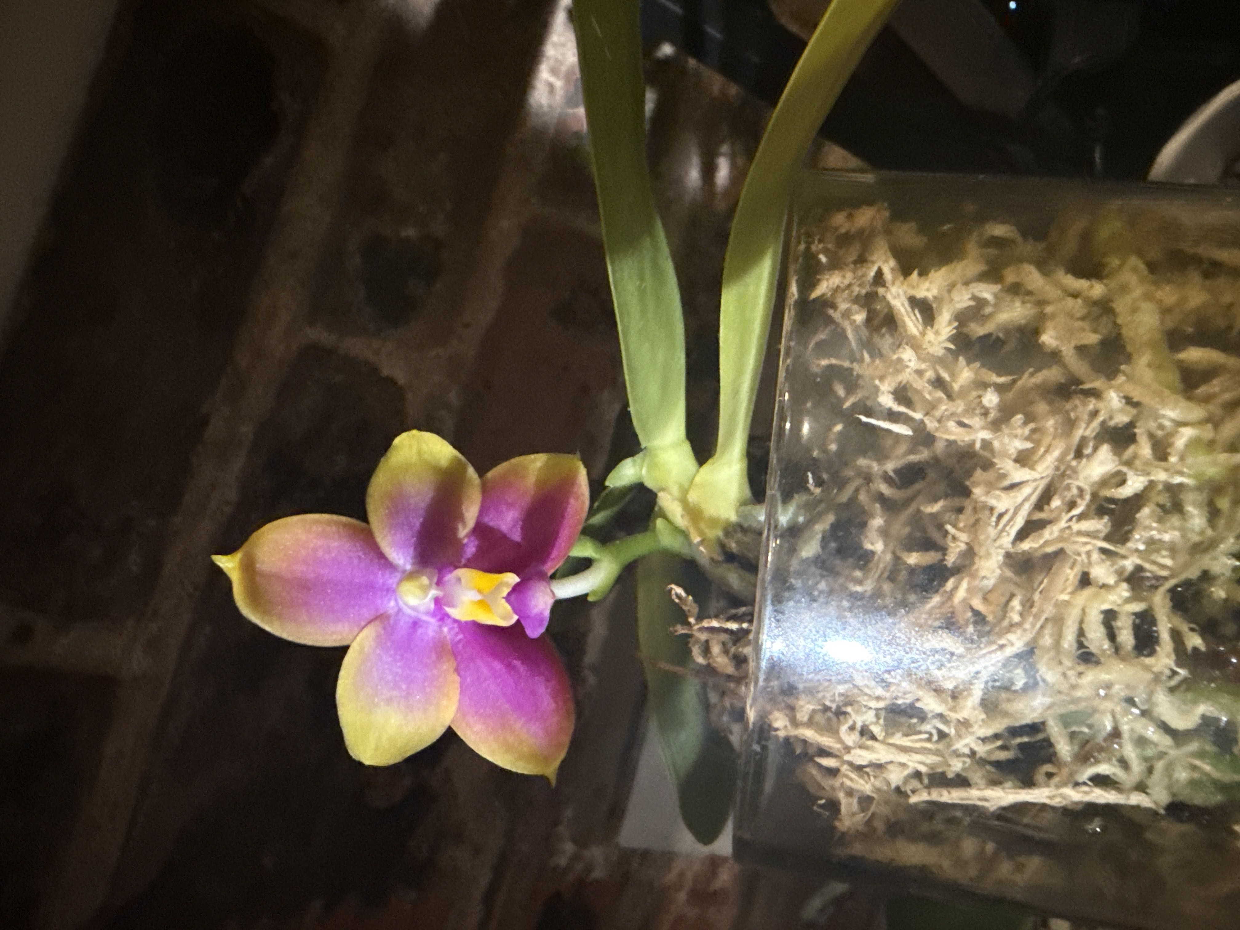 Photo from the post