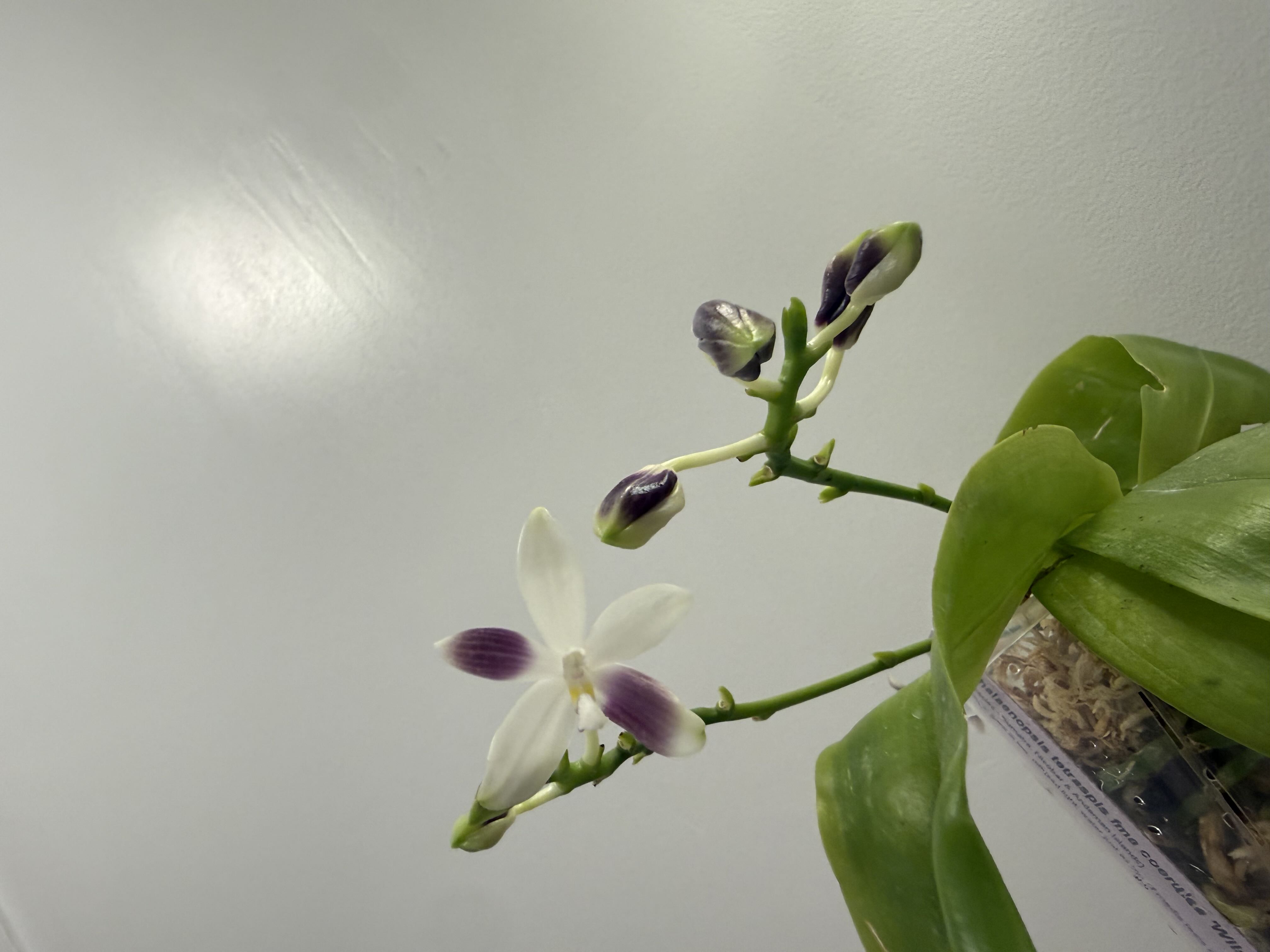Photo from the post