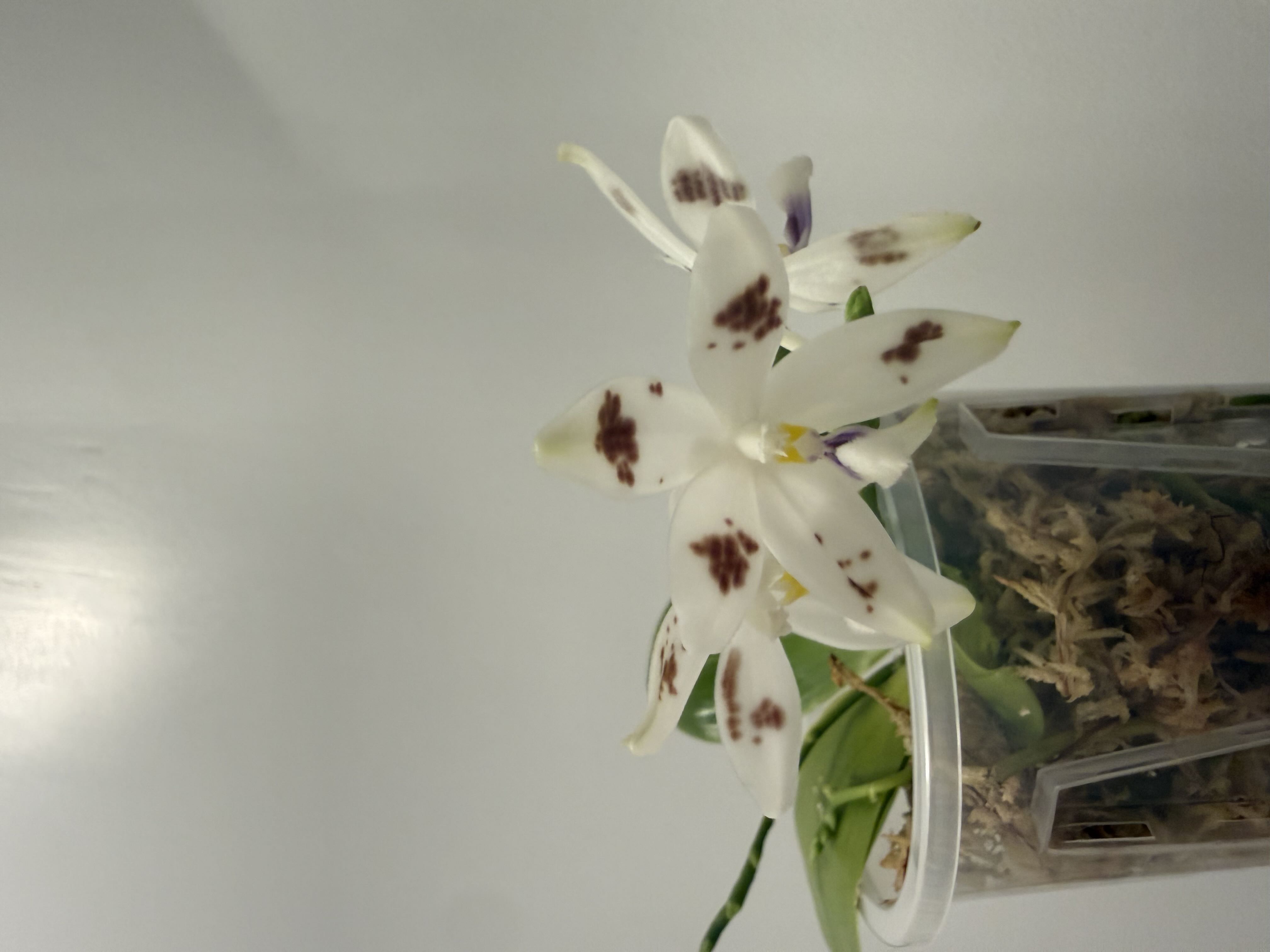 Photo from the post