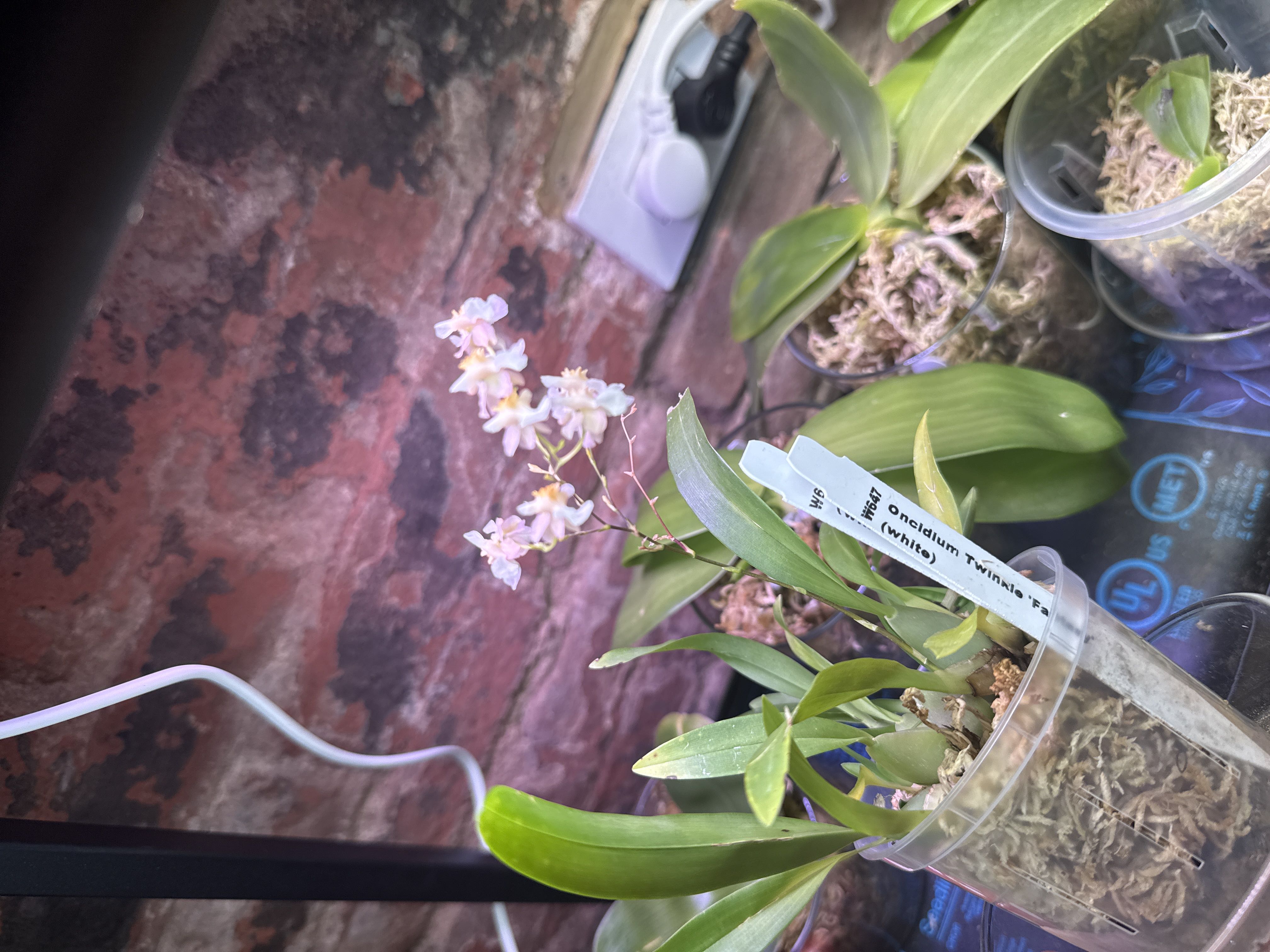 Photo from the post