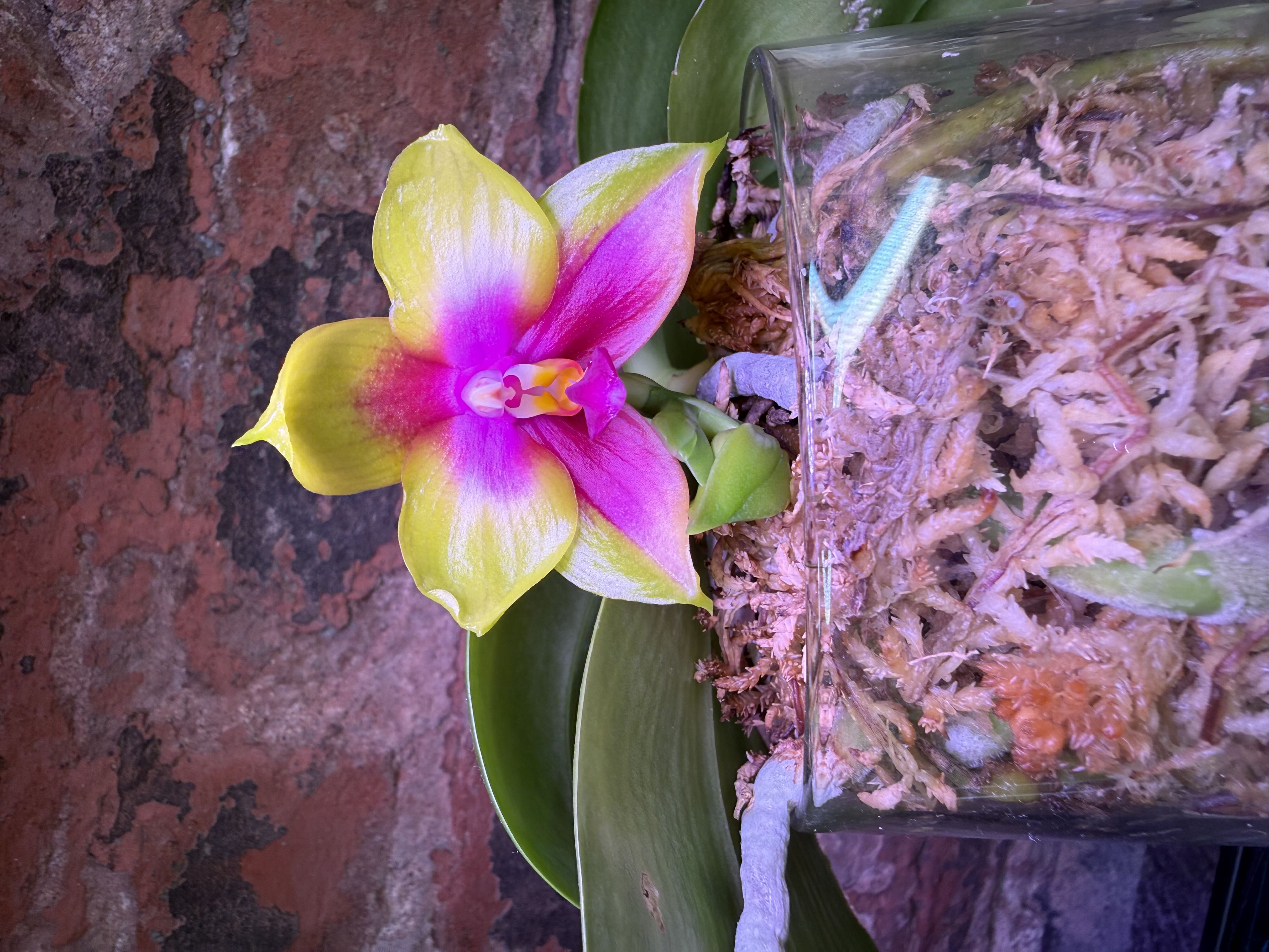 Photo from the post