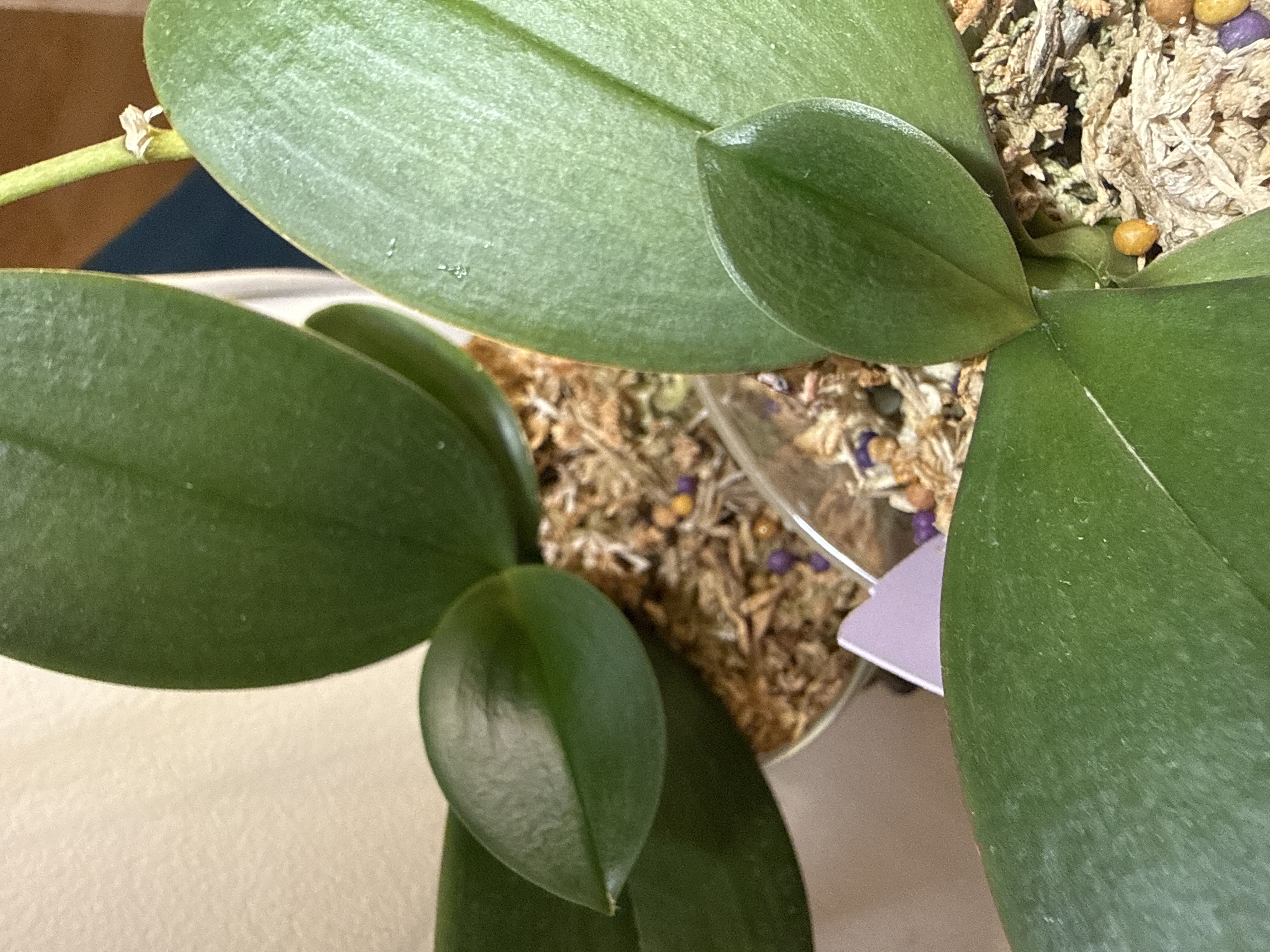 Photo from the post