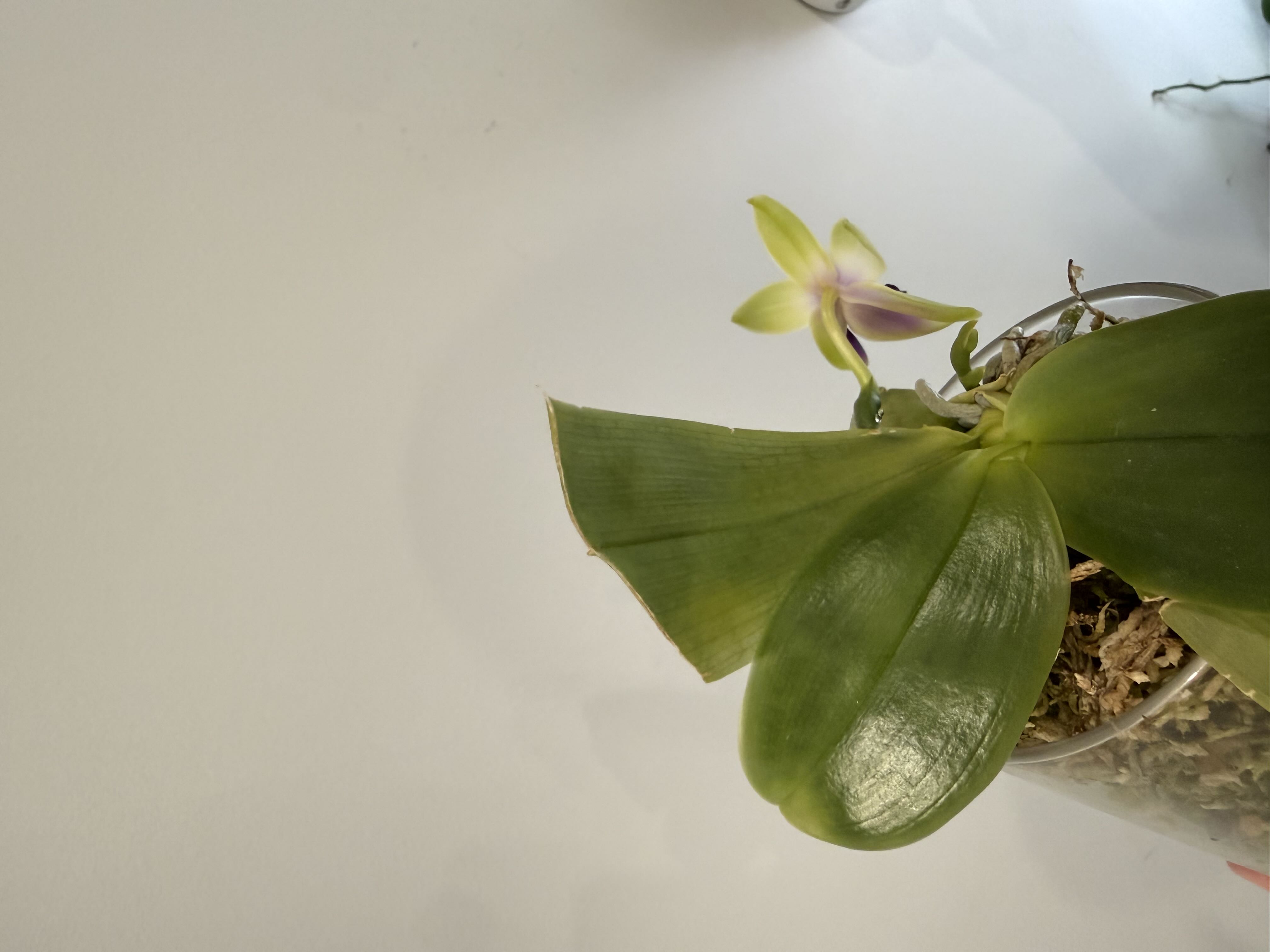Photo from the post