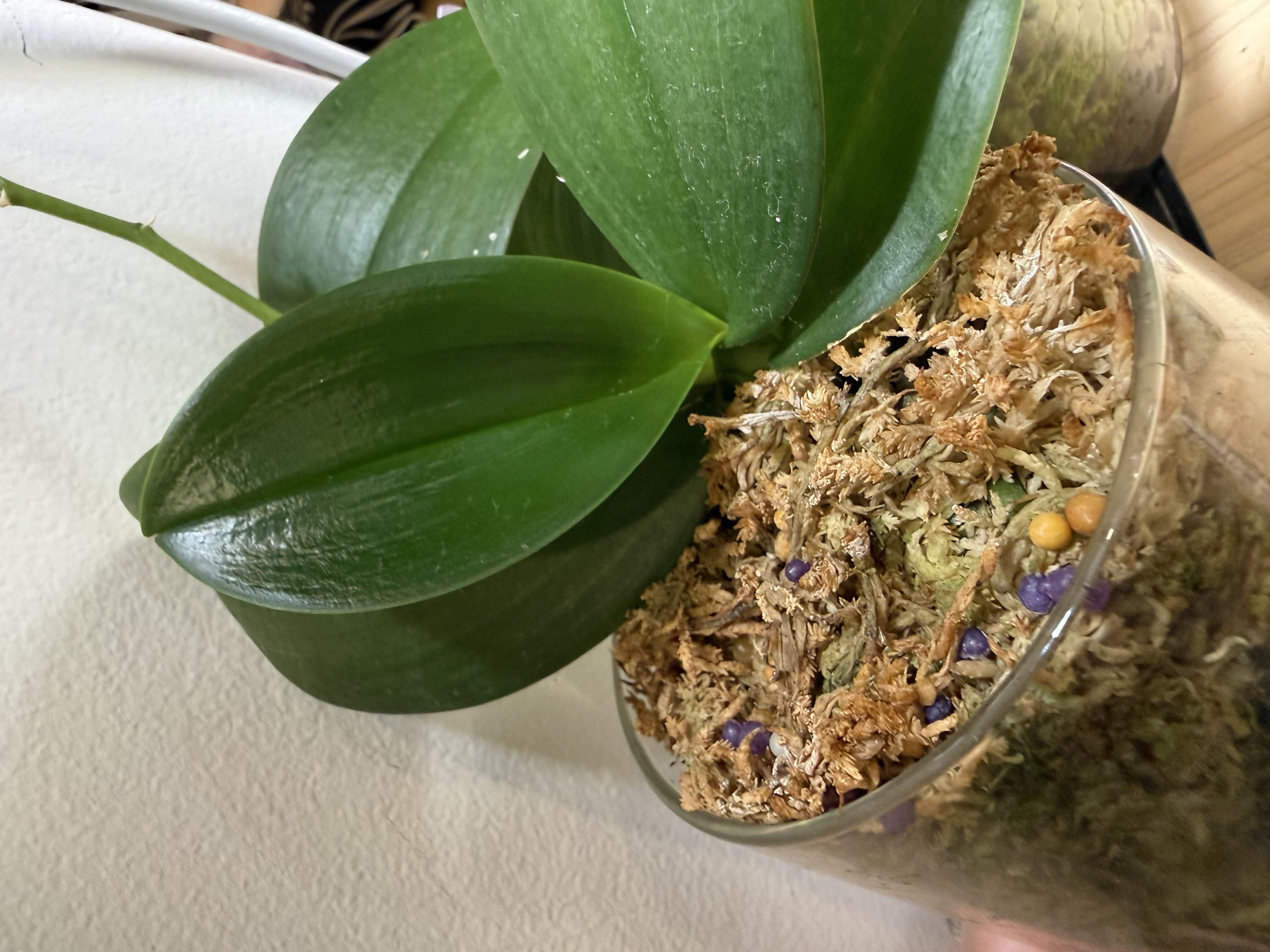 Photo from the post