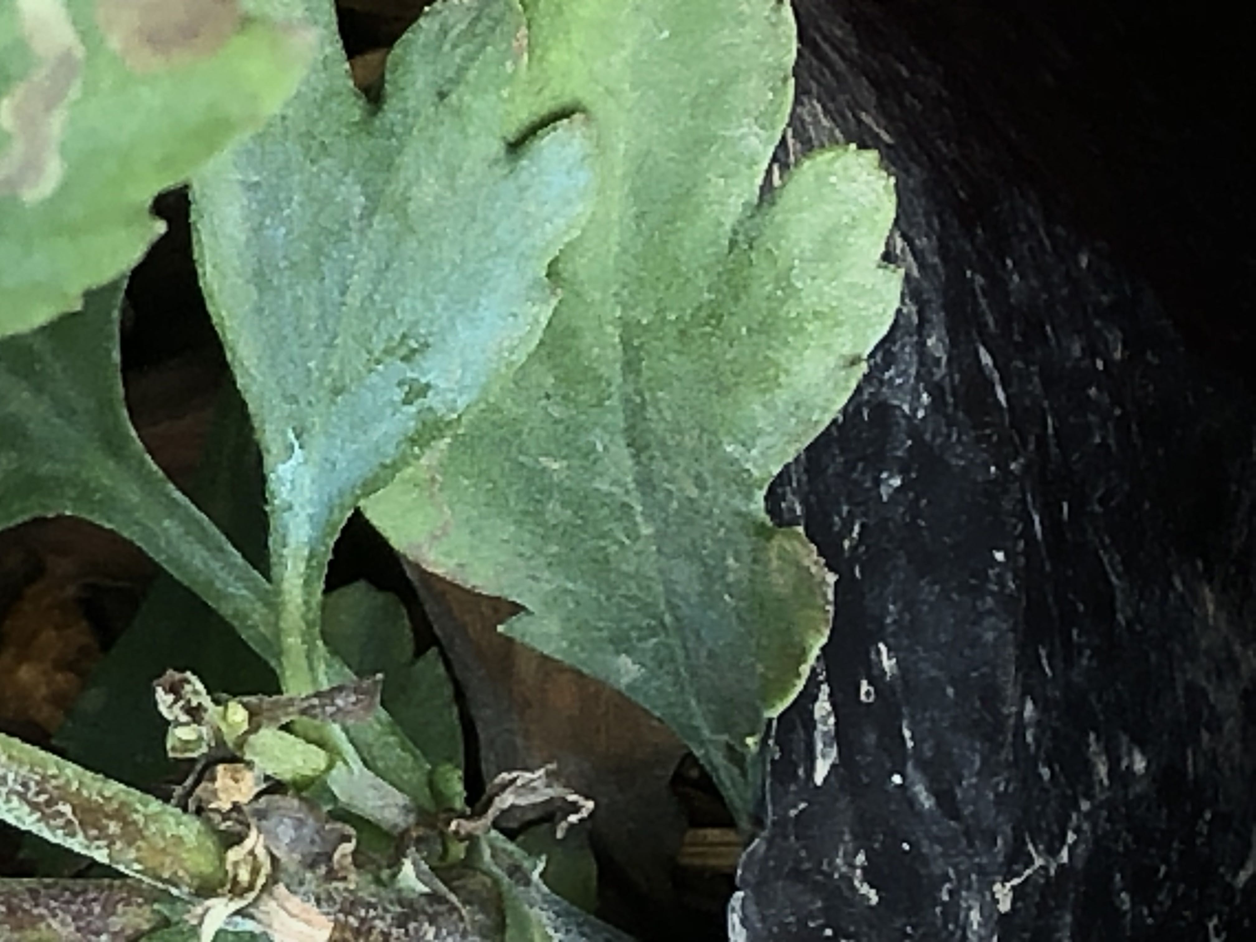 Photo from the post