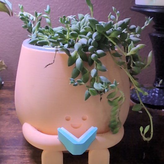 Photo of the plant species String of Tears by @HPplants named Shakira on Greg, the plant care app