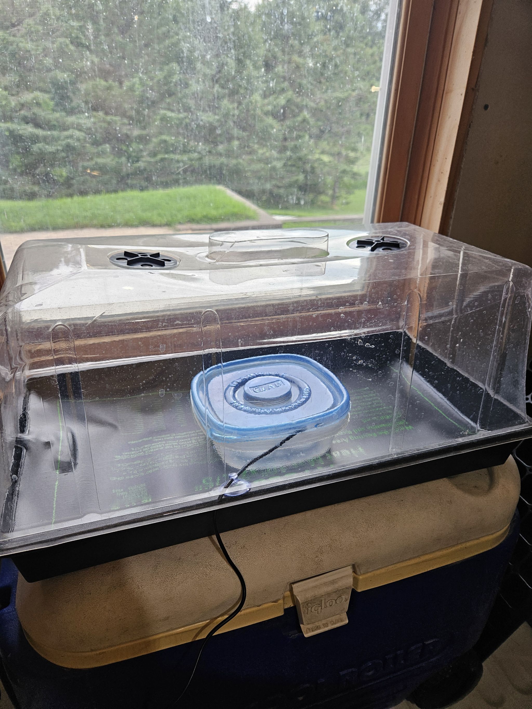 Photo from the post