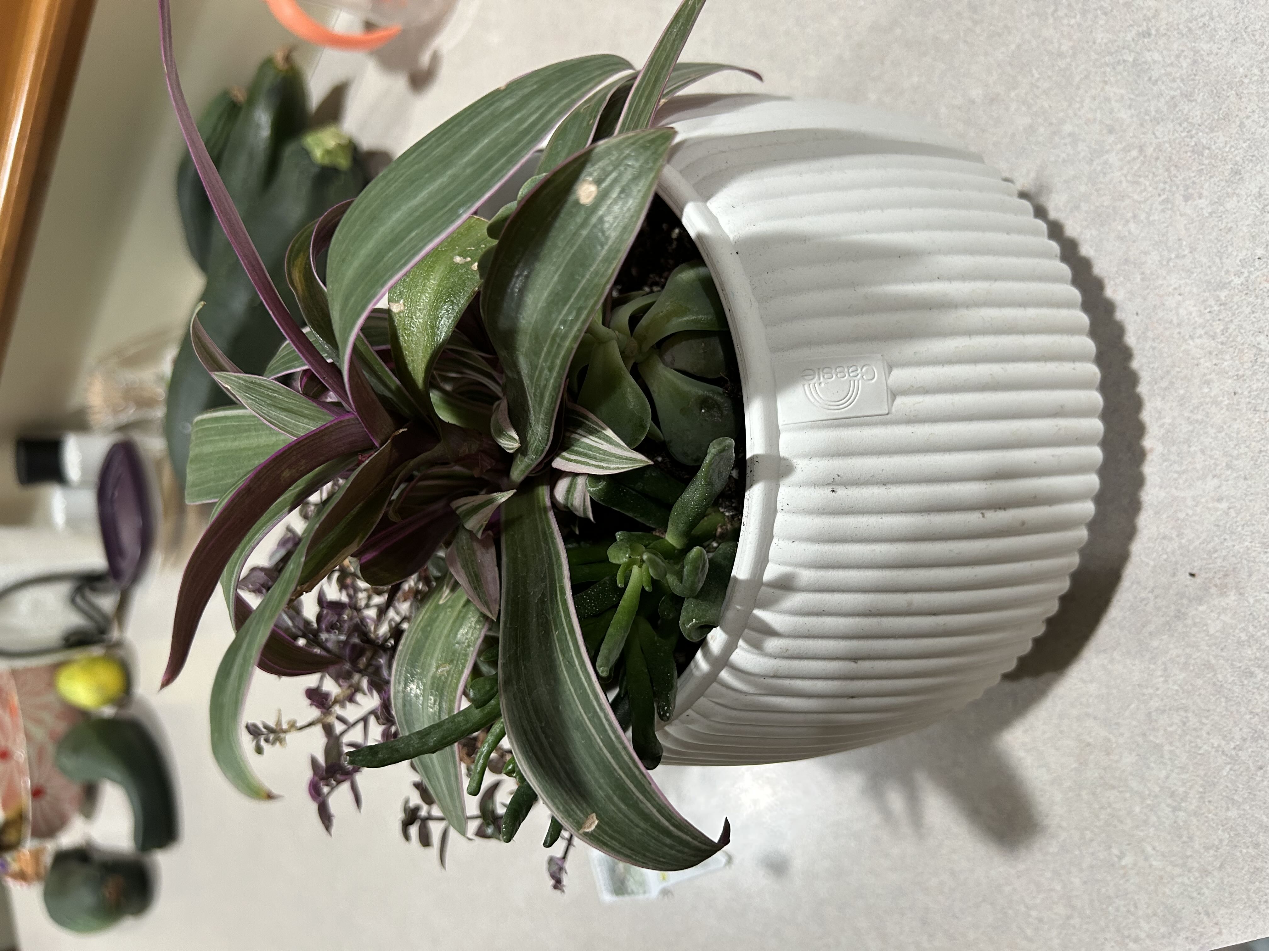 Photo from the post