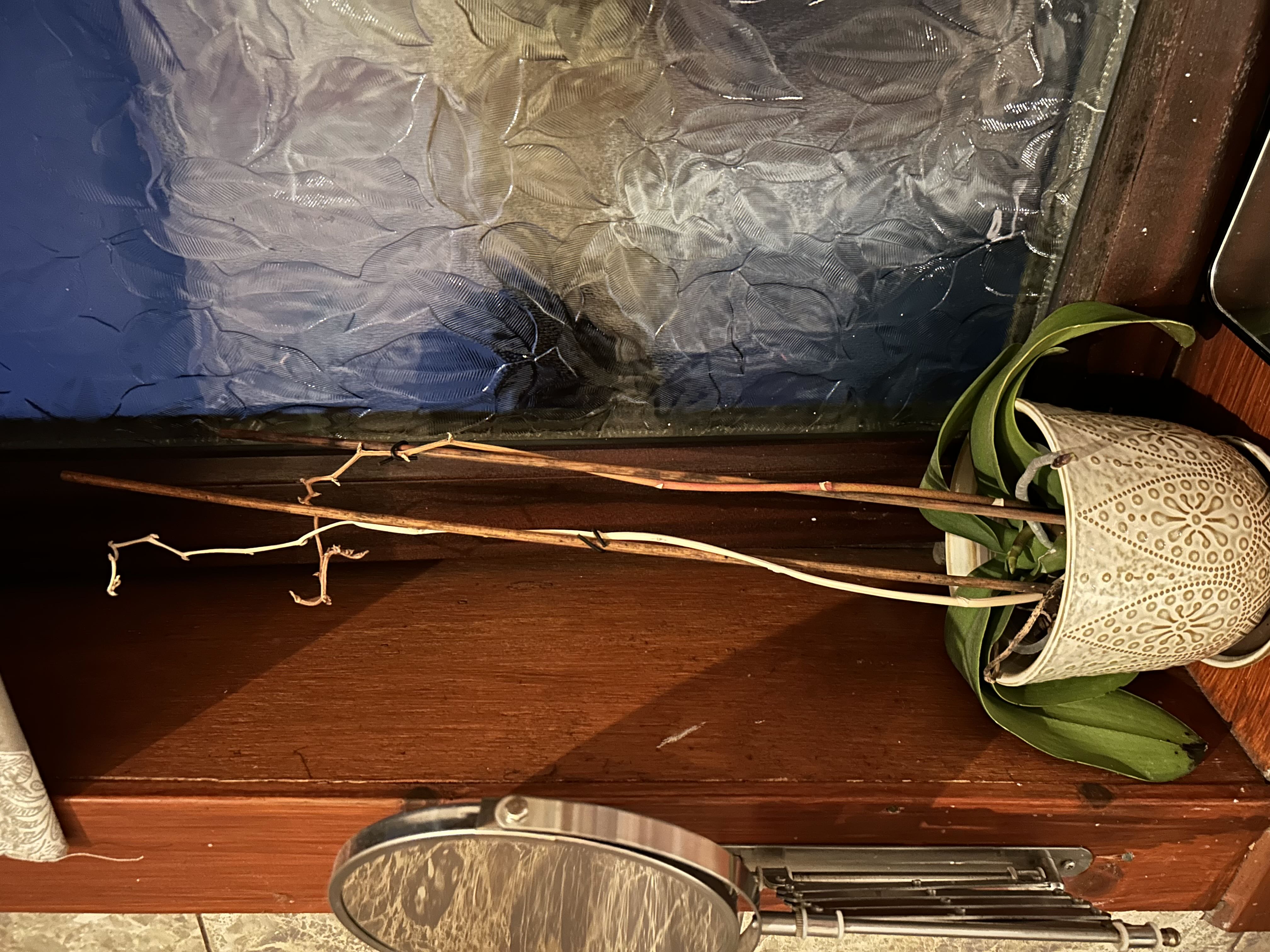 Photo from the post