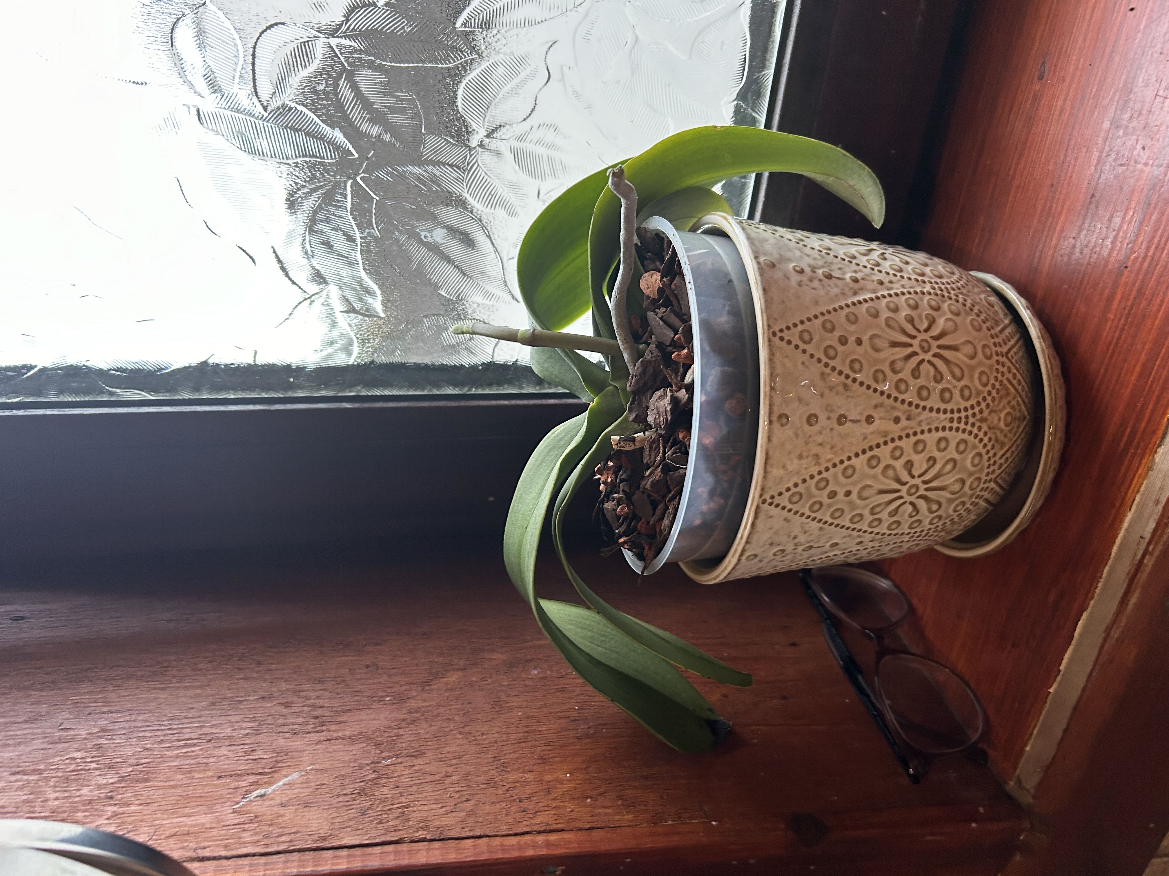 Photo from the post