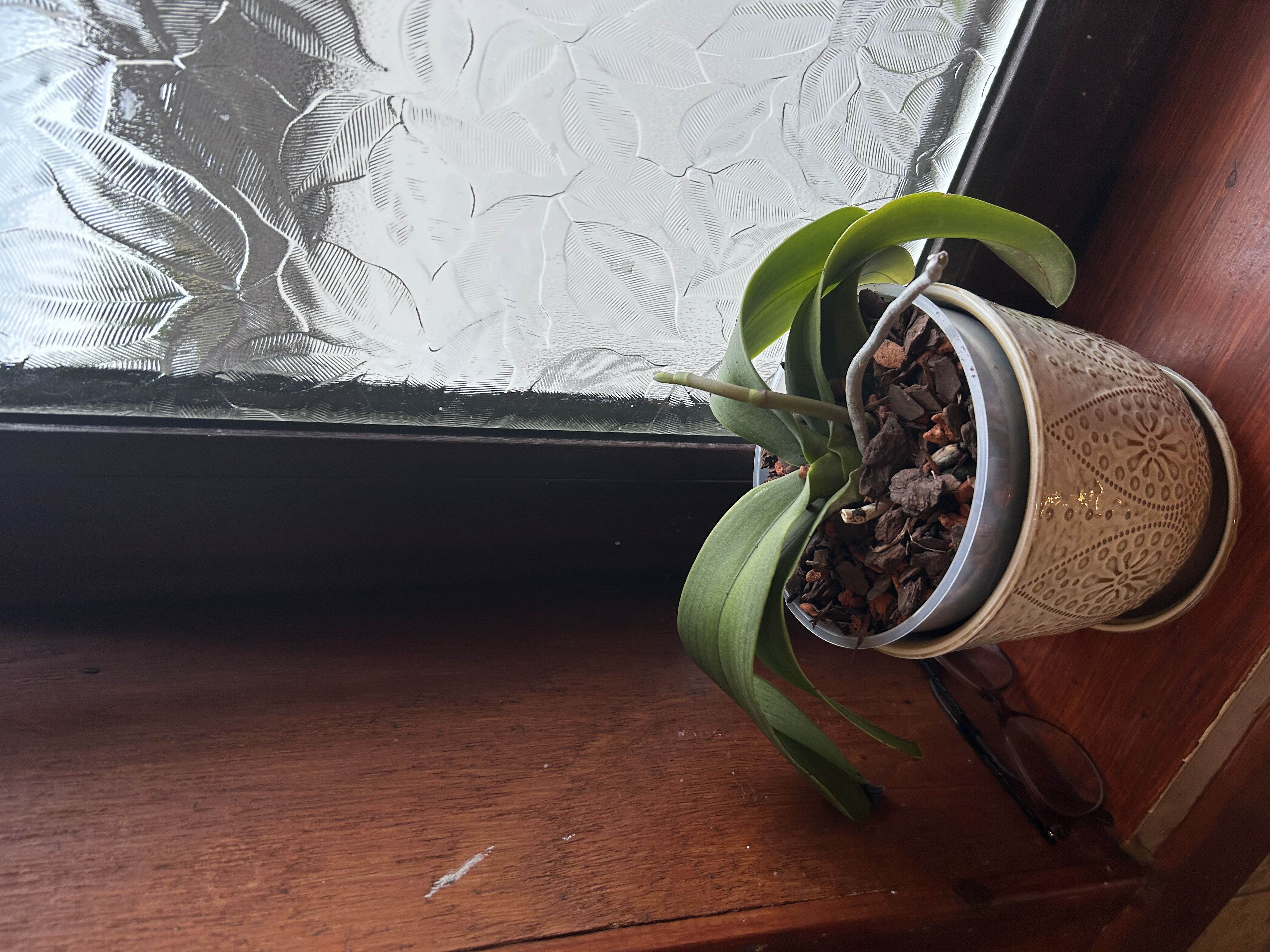 Photo from the post