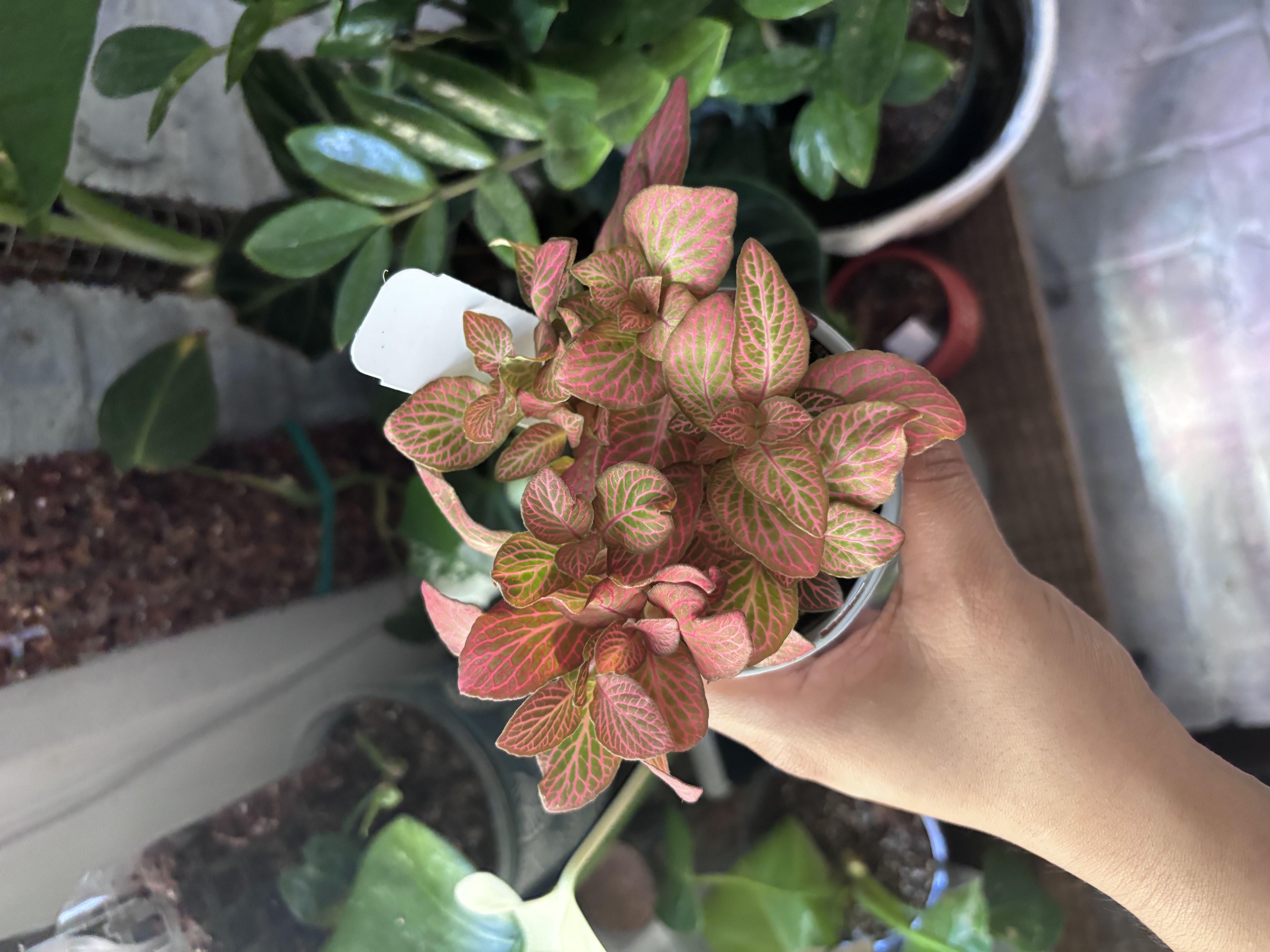 Photo from the post