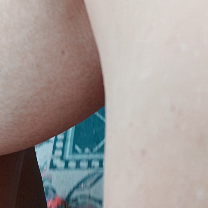 Photo of the plant species Brazilwood by @IdolSpringavens named Eva on Greg, the plant care app