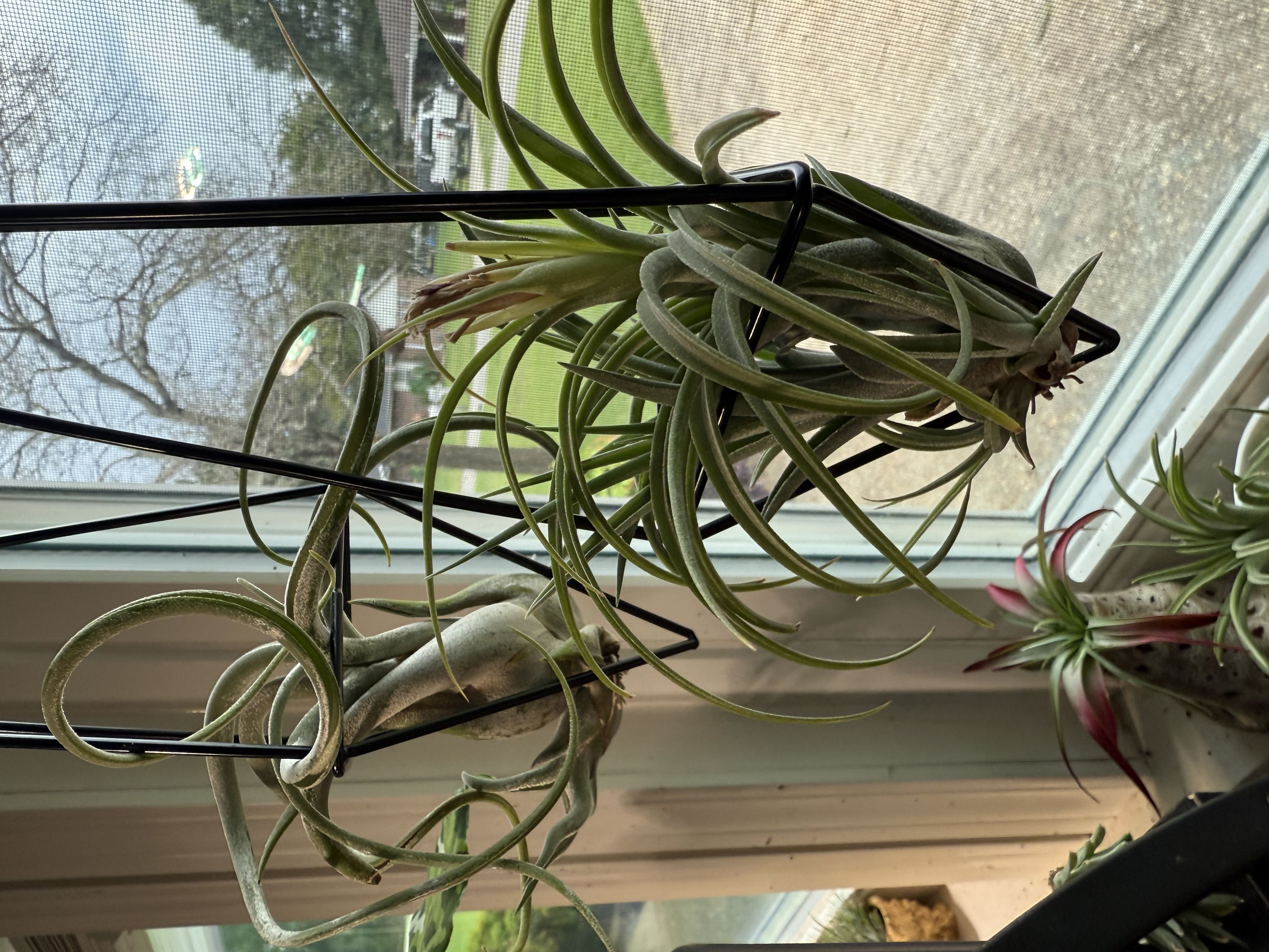 Photo from the post
