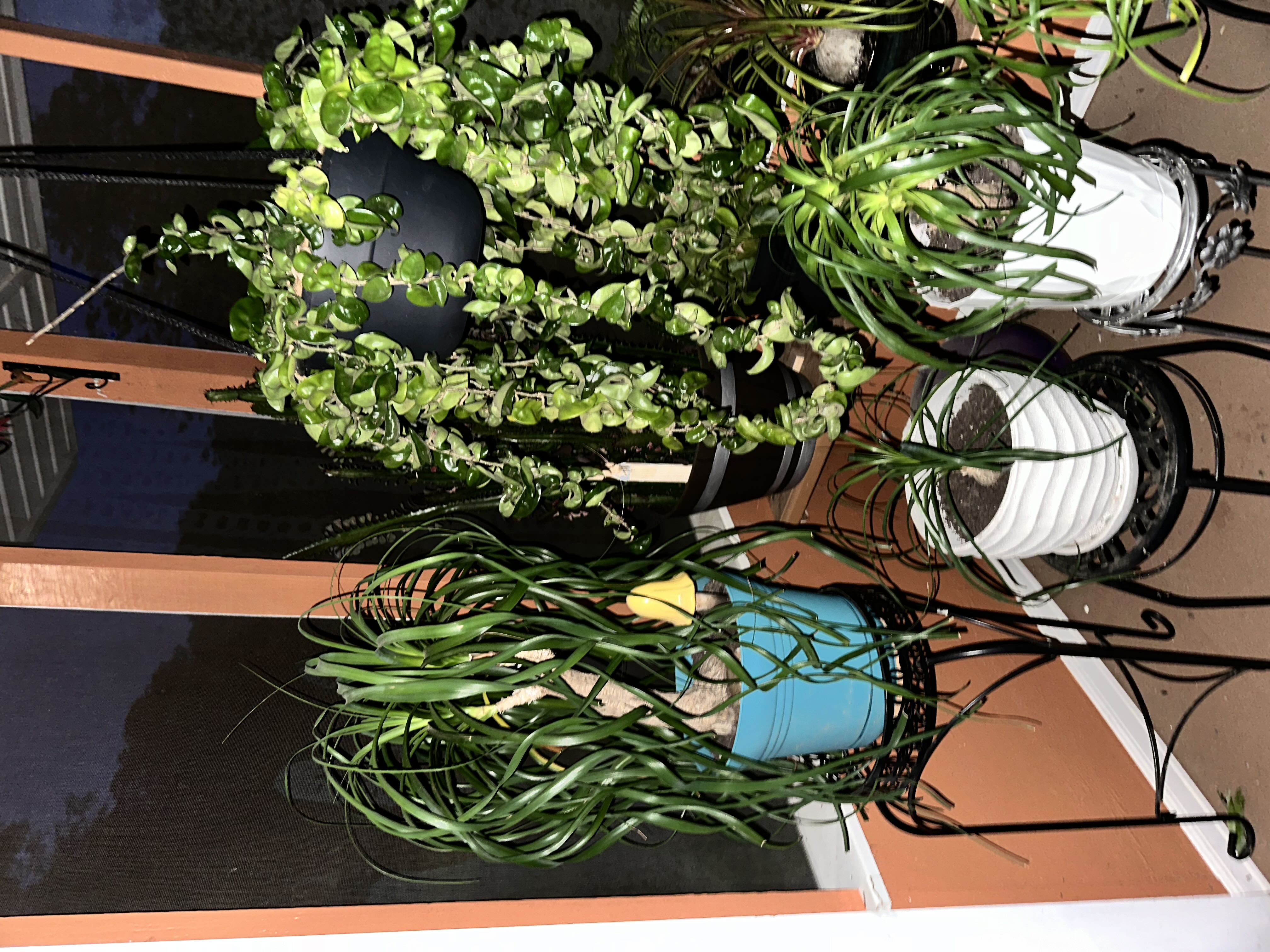 Photo from the post
