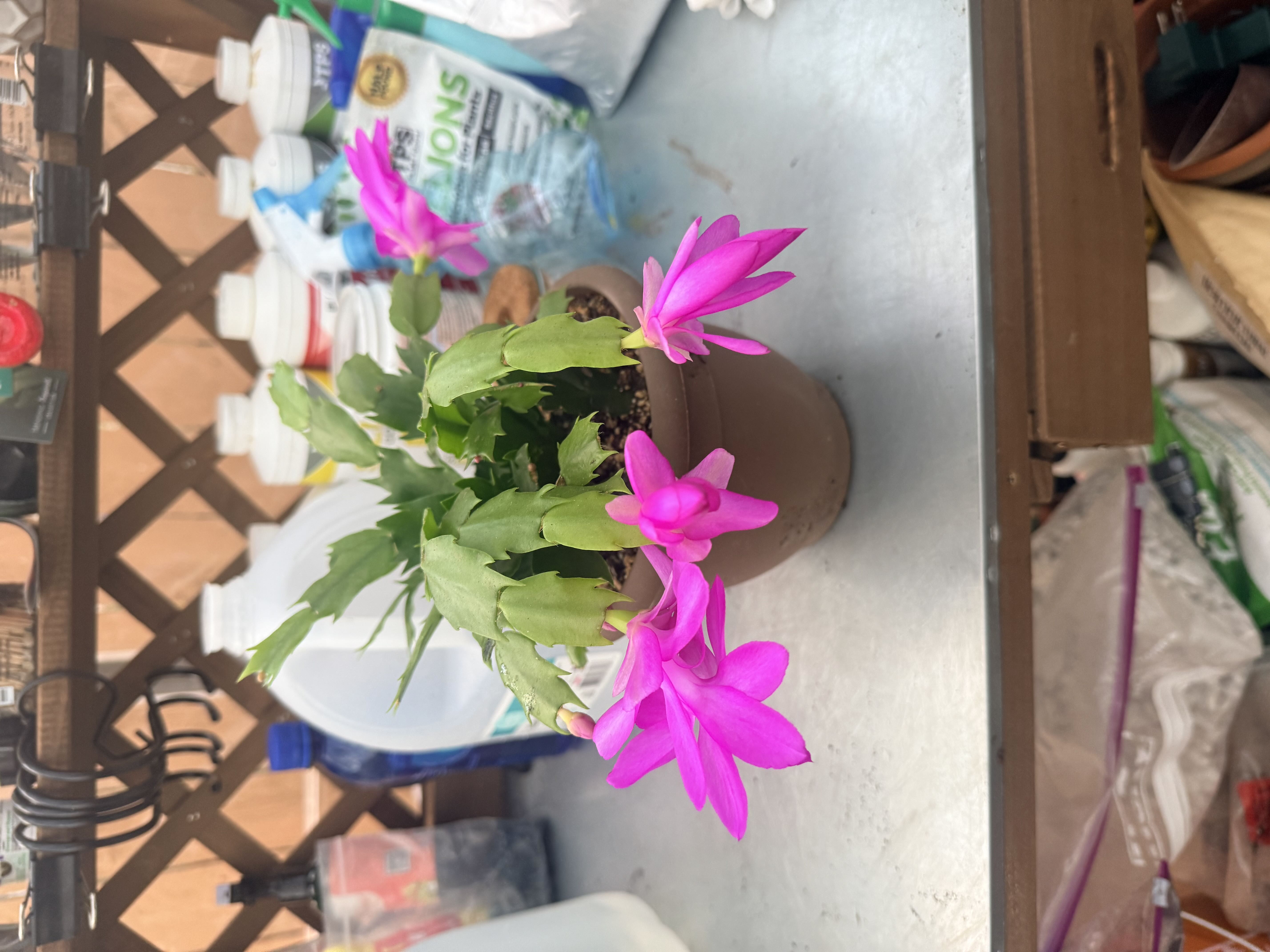Photo from the post