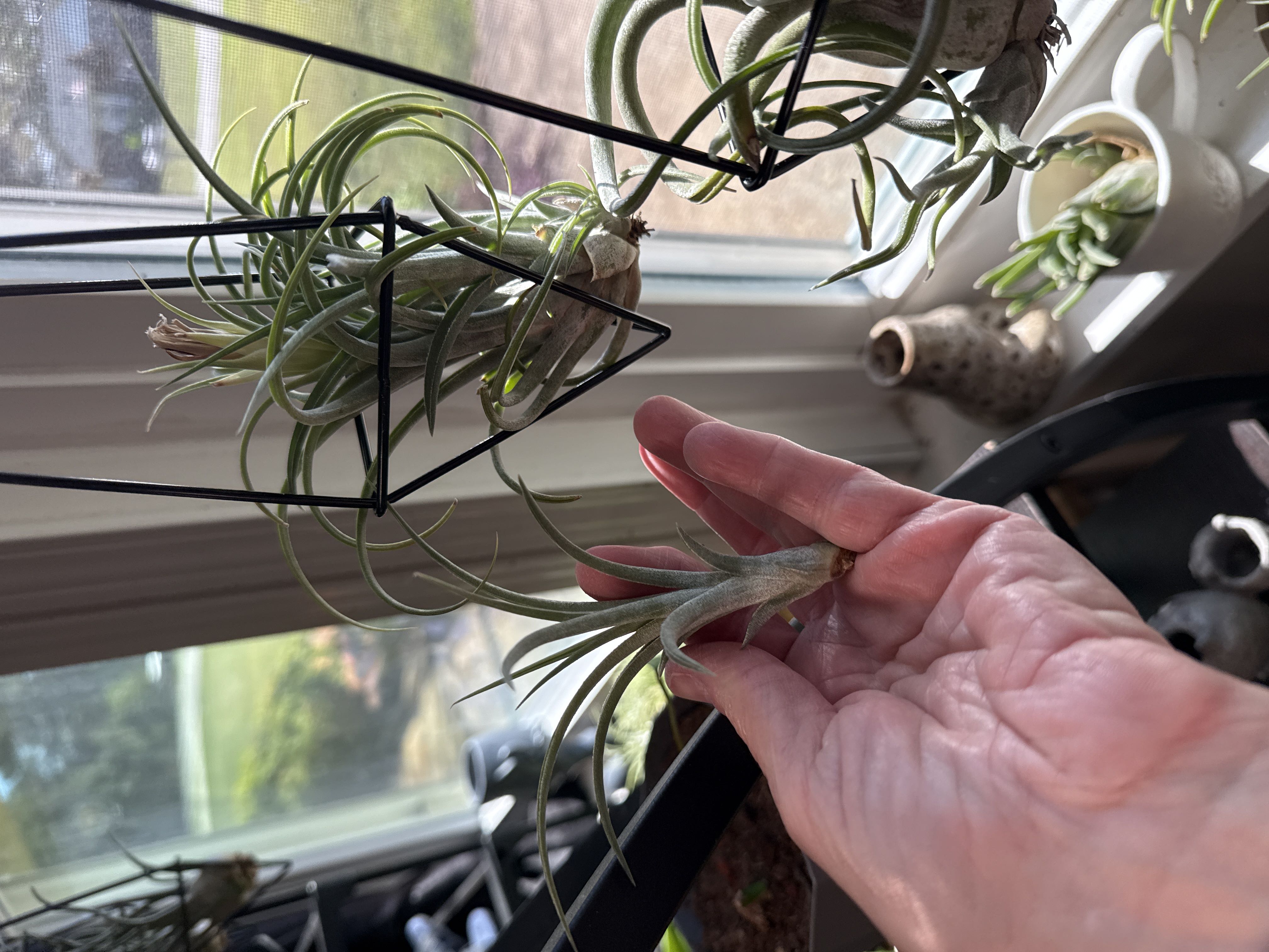 Photo from the post