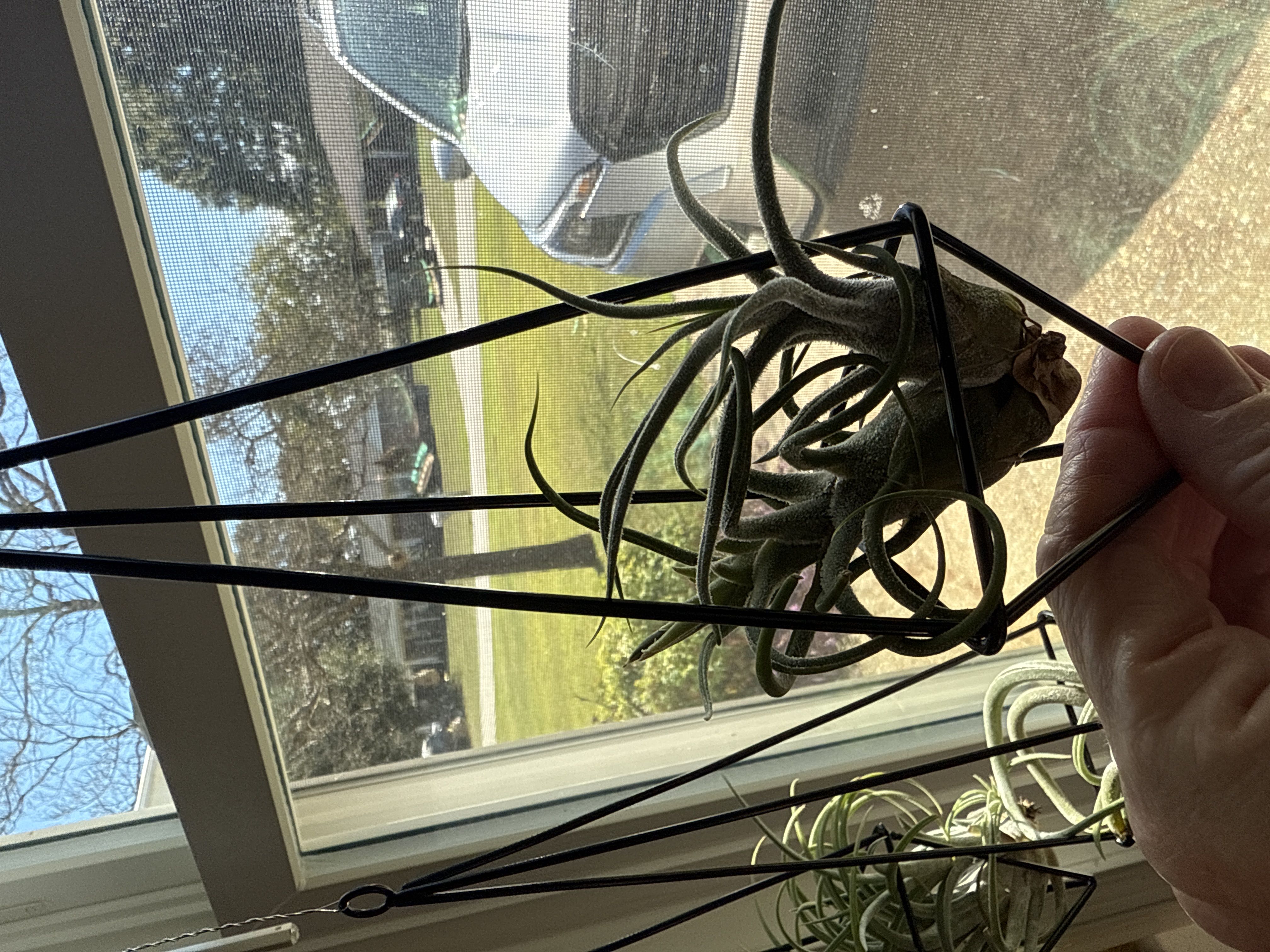 Photo from the post