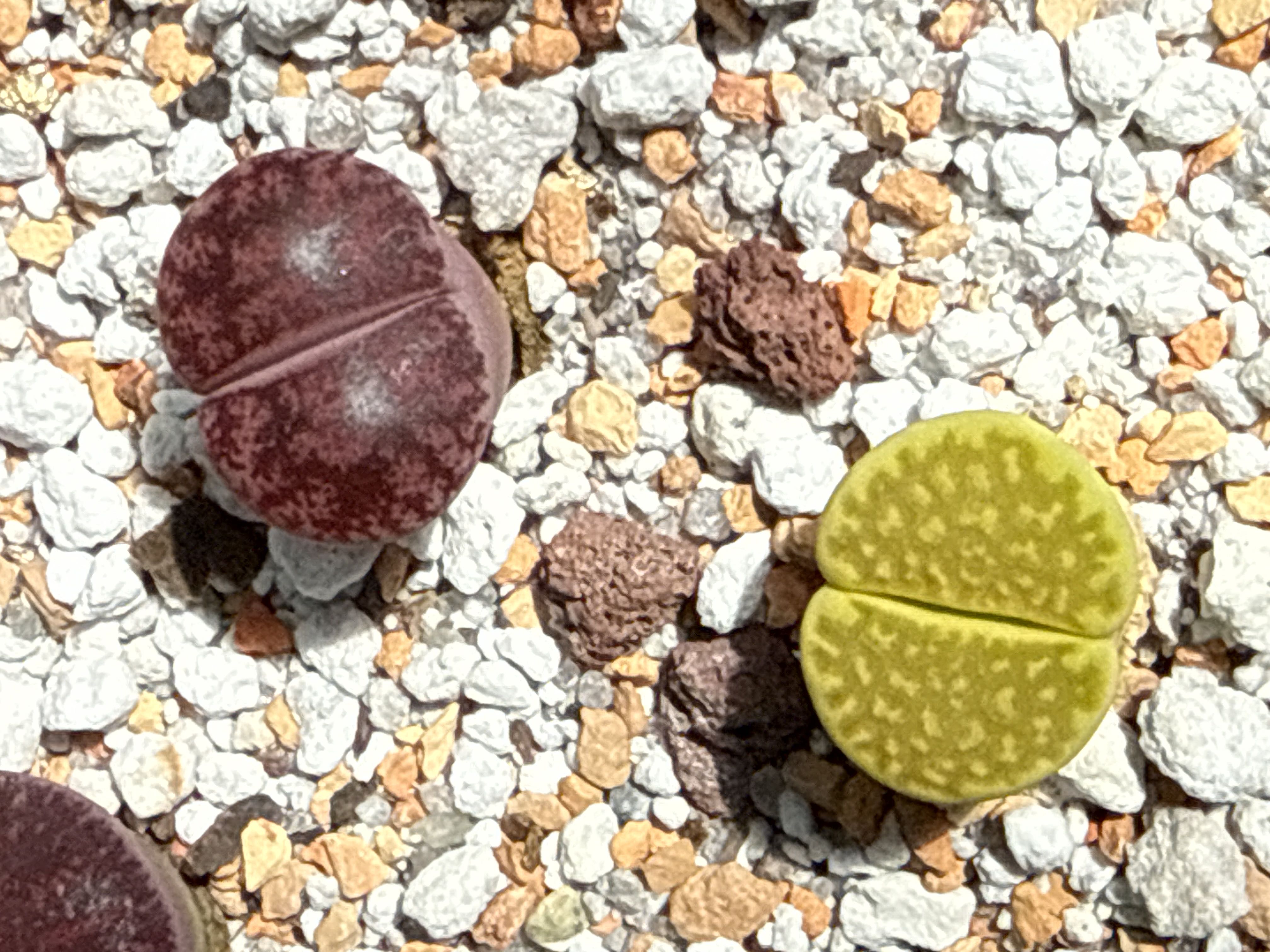 Photo from the post