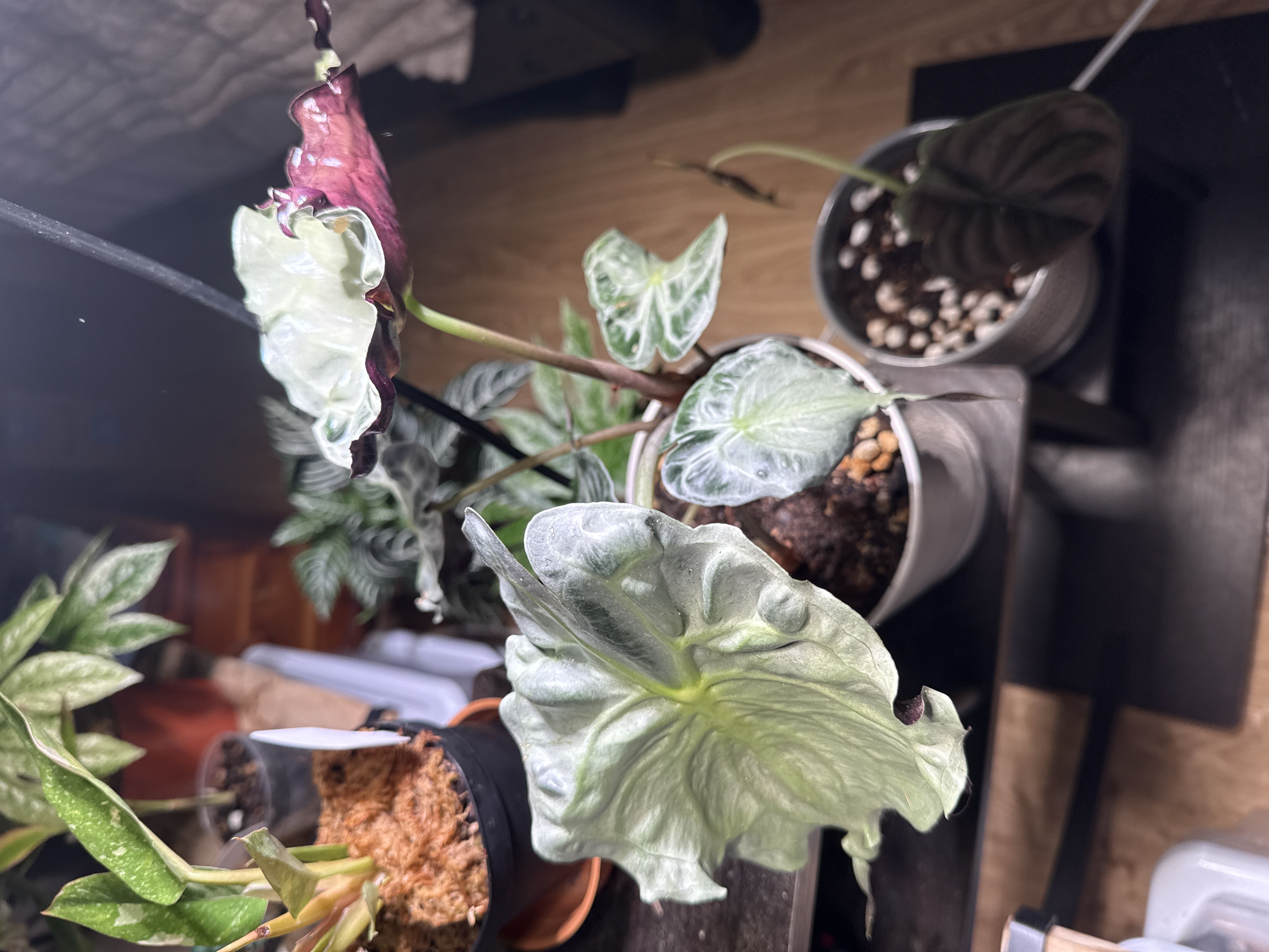 Photo from the post