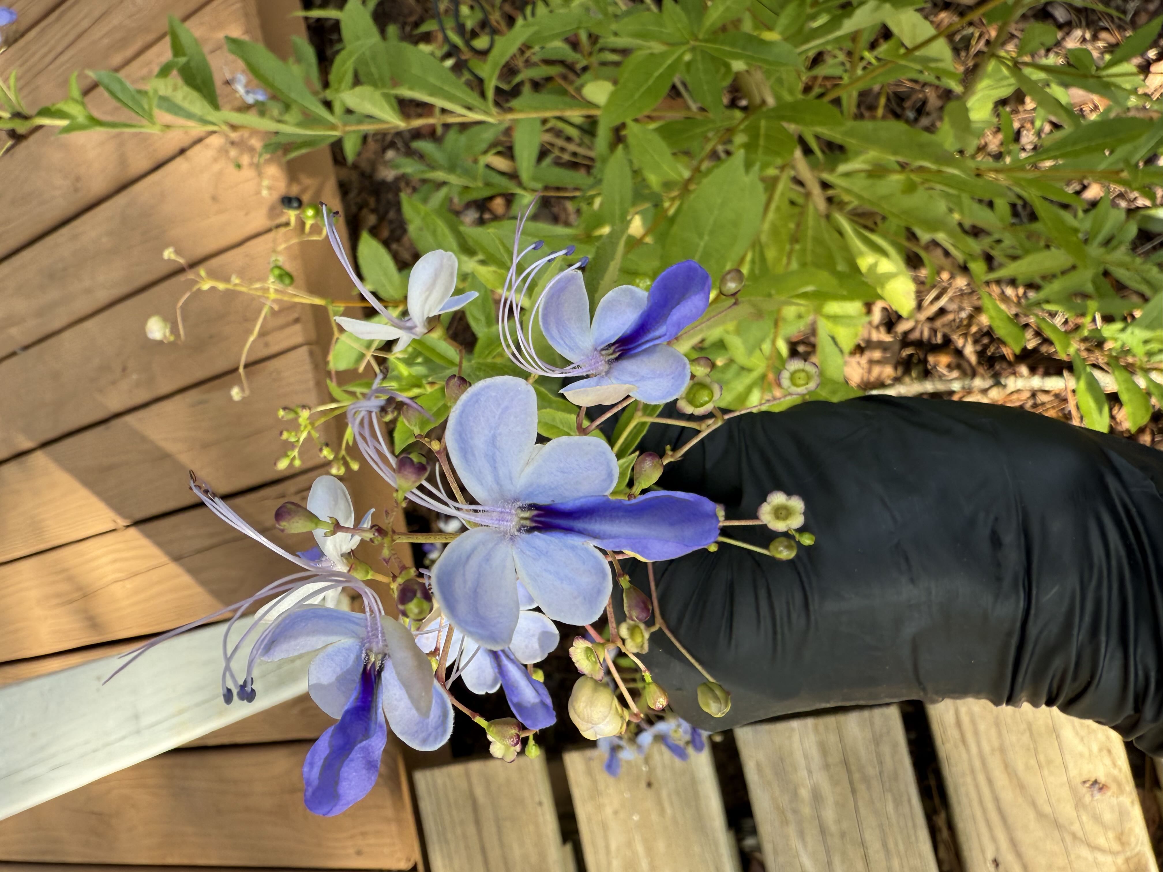 Photo from the post